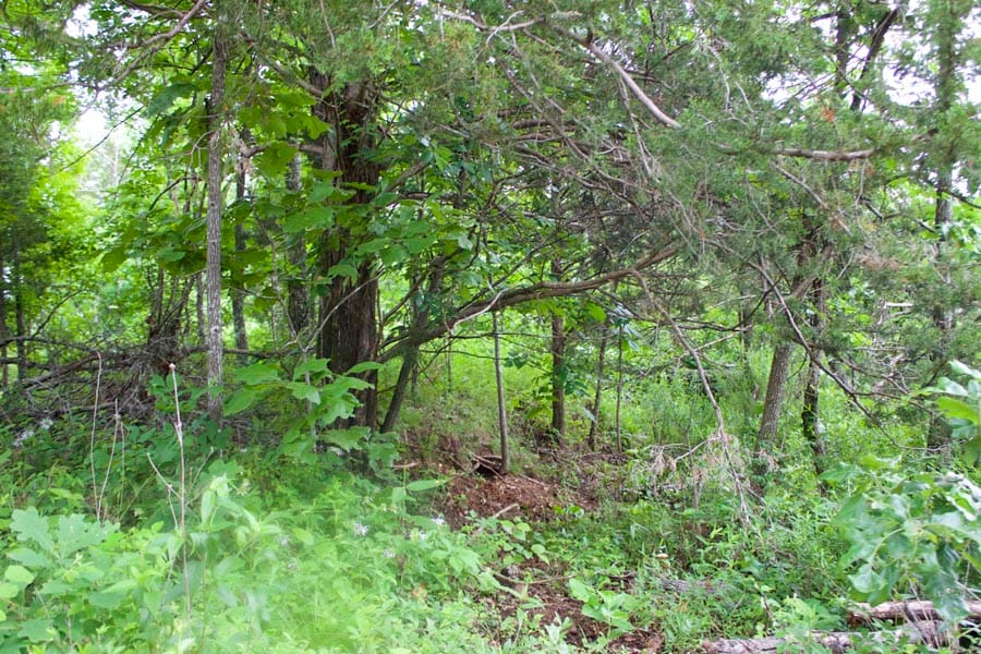 Thunder Mountain Ranch Tract 50 photo 2