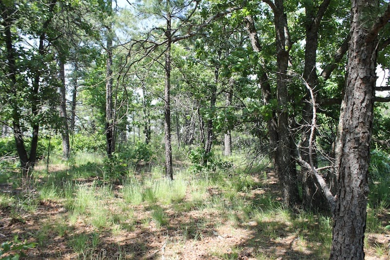 Indian Ridge – Phase II Tract 33 photo 2