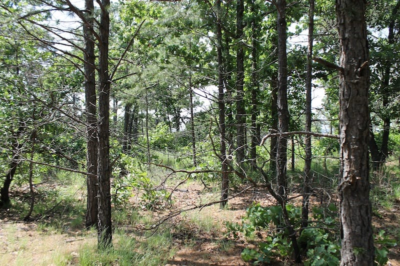 Indian Ridge – Phase II Tract 33 photo 3