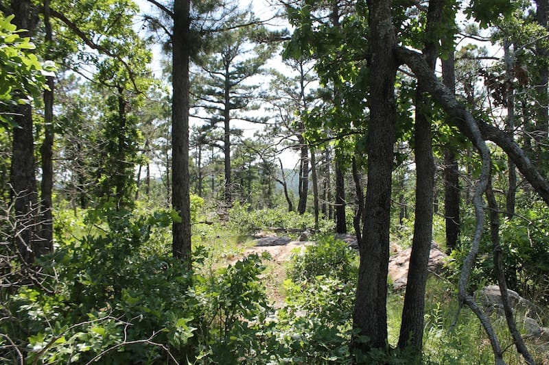 Indian Ridge – Phase II Tract 33 photo 4