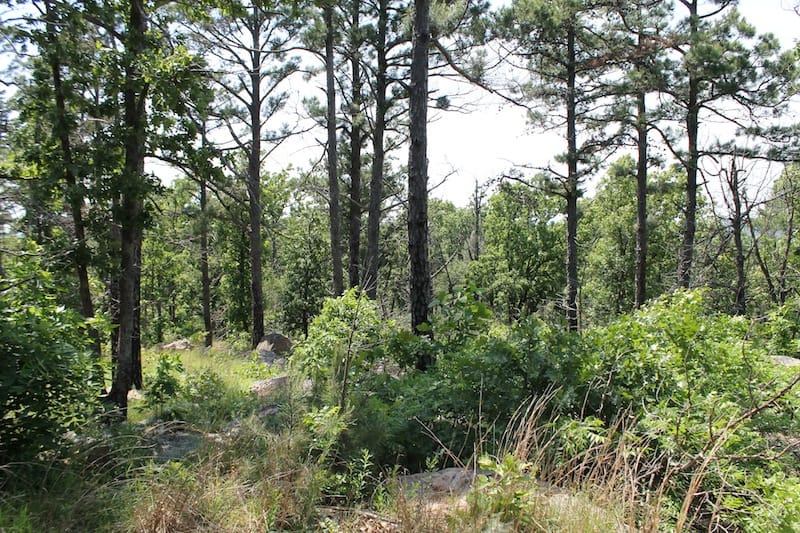Indian Ridge – Phase II Tract 33 photo 5
