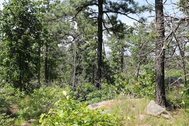 Indian Ridge – Phase II Tract 33 photo 6