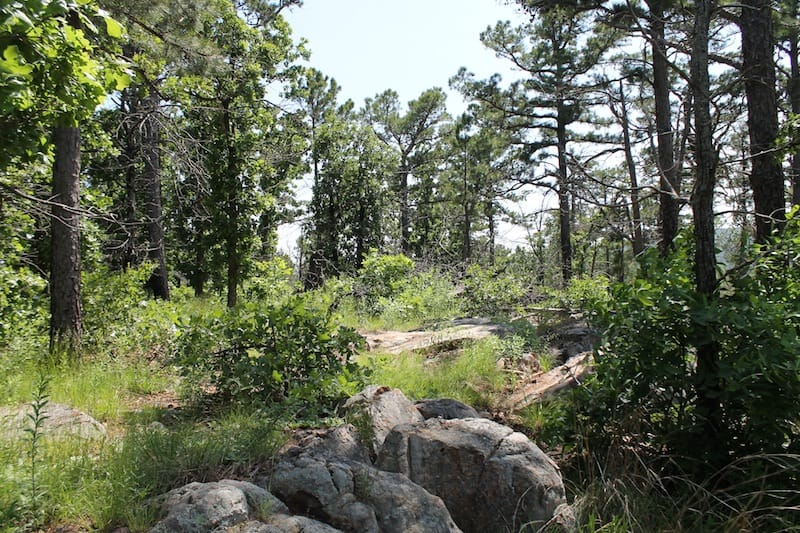 Indian Ridge – Phase II Tract 33 photo 7