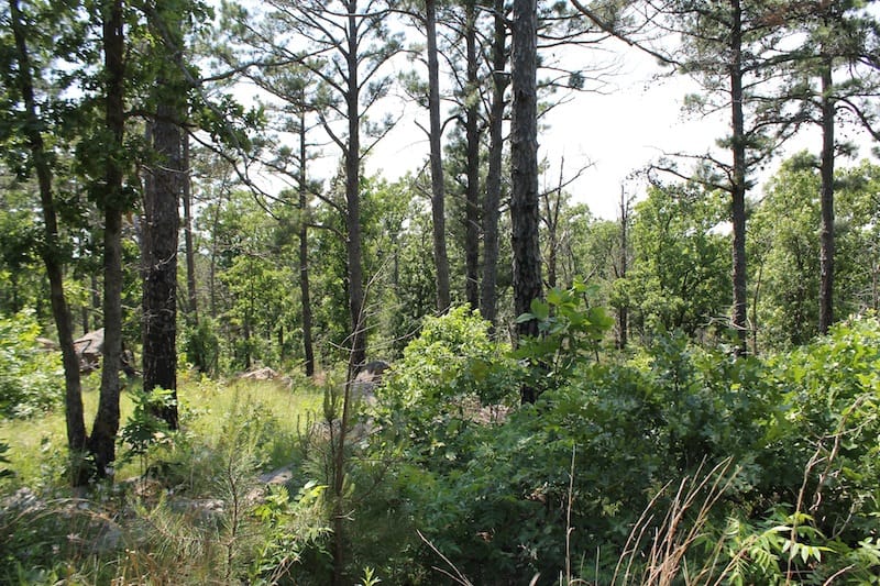 Indian Ridge – Phase II Tract 33 photo 8