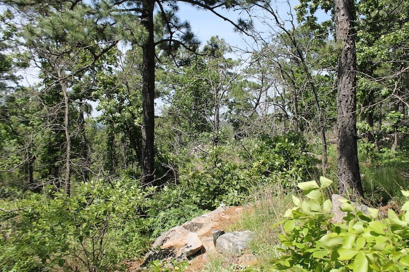 Indian Ridge – Phase II Tract 33 photo 9