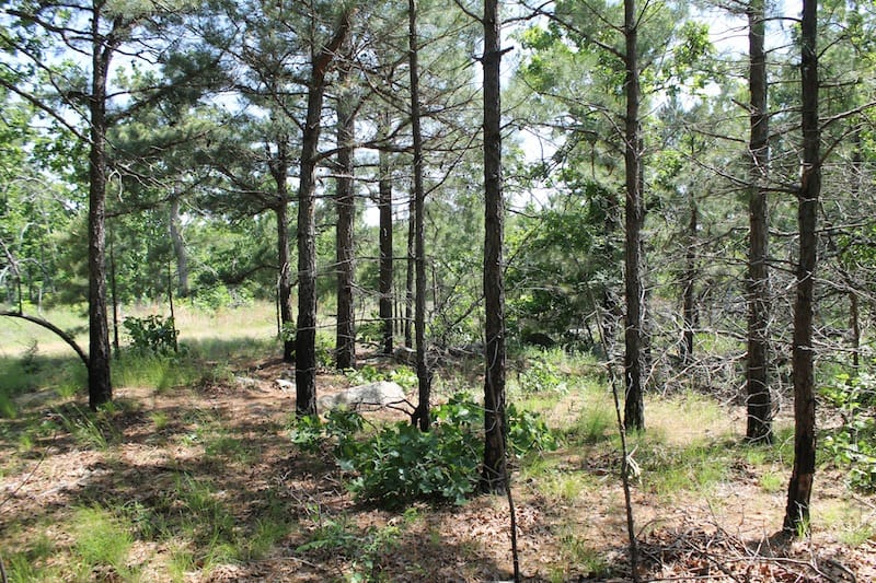 Indian Ridge – Phase II Tract 33 photo 10