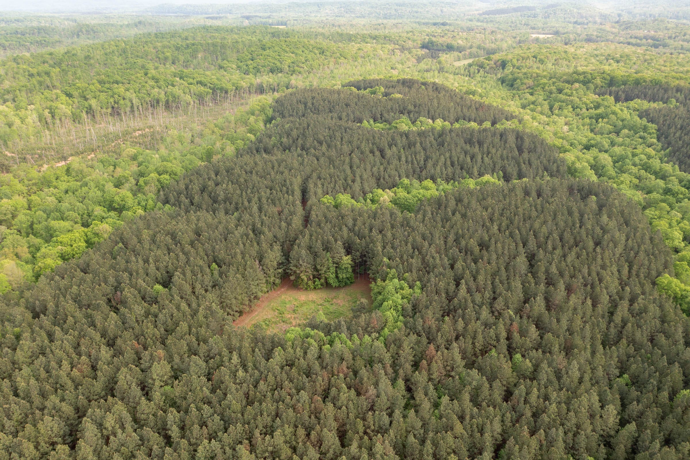 Red Barn Ranch Tract 29 photo 3
