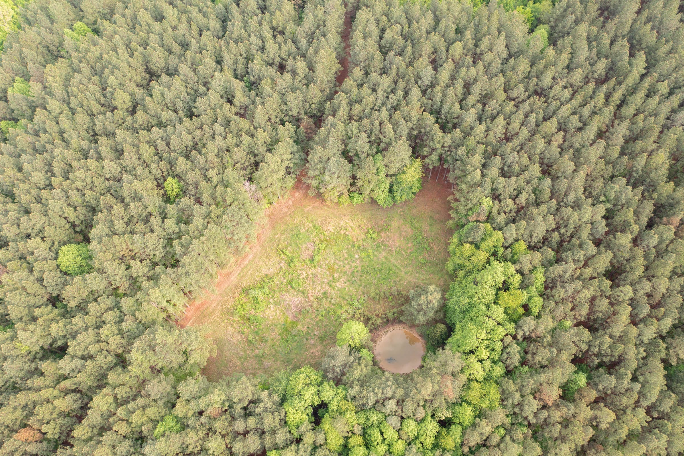 Red Barn Ranch Tract 29 photo 5