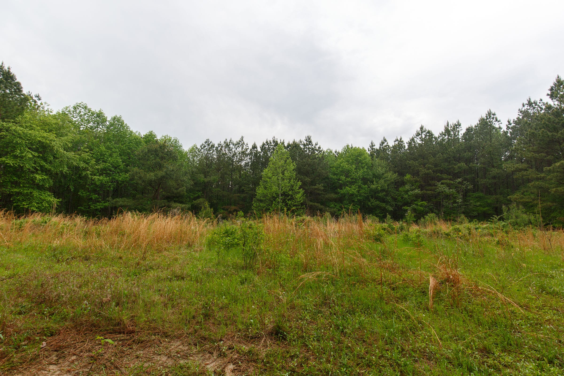 Red Barn Ranch Tract 29 photo 6