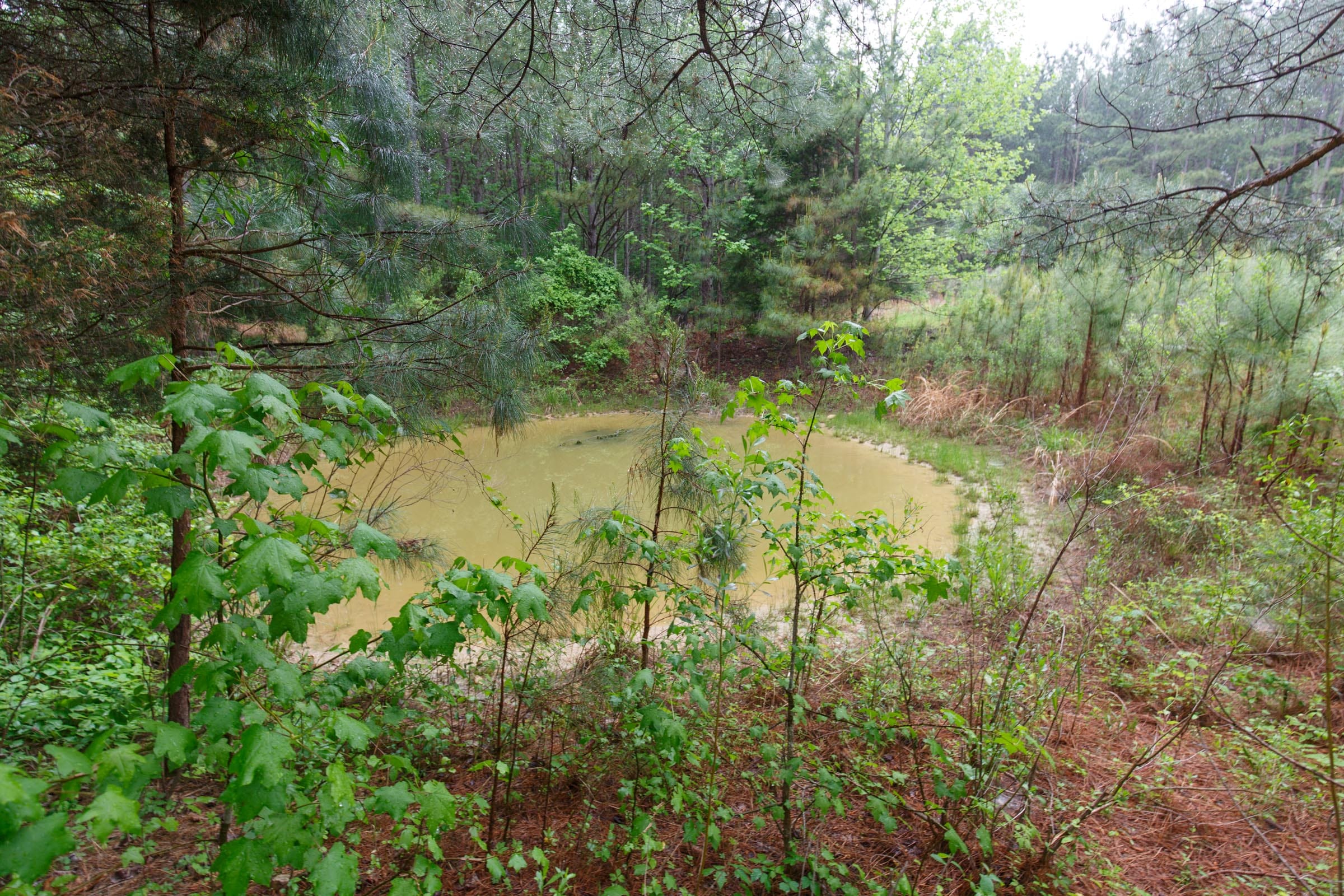 Red Barn Ranch Tract 29 photo 4