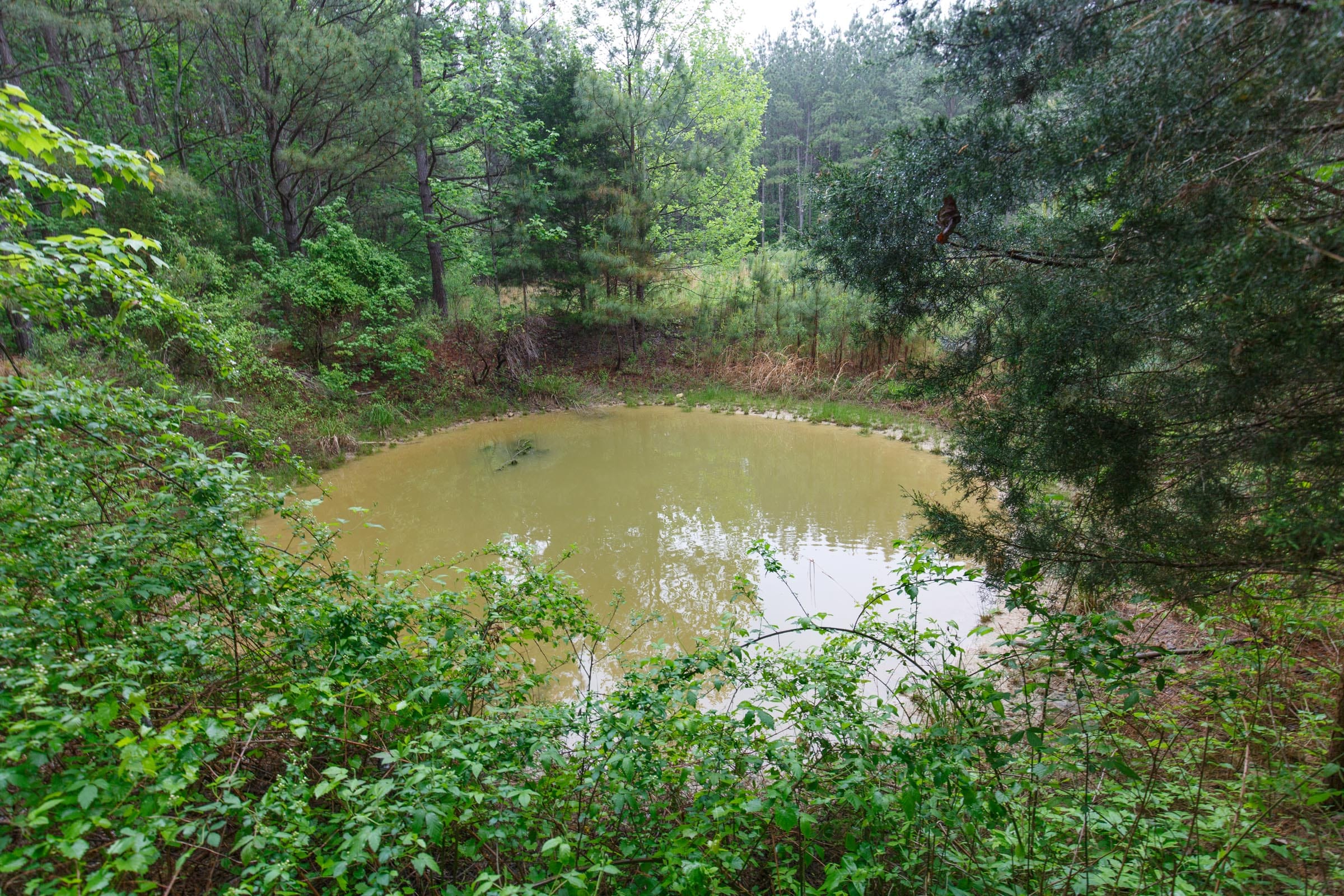 Red Barn Ranch Tract 29 photo 2