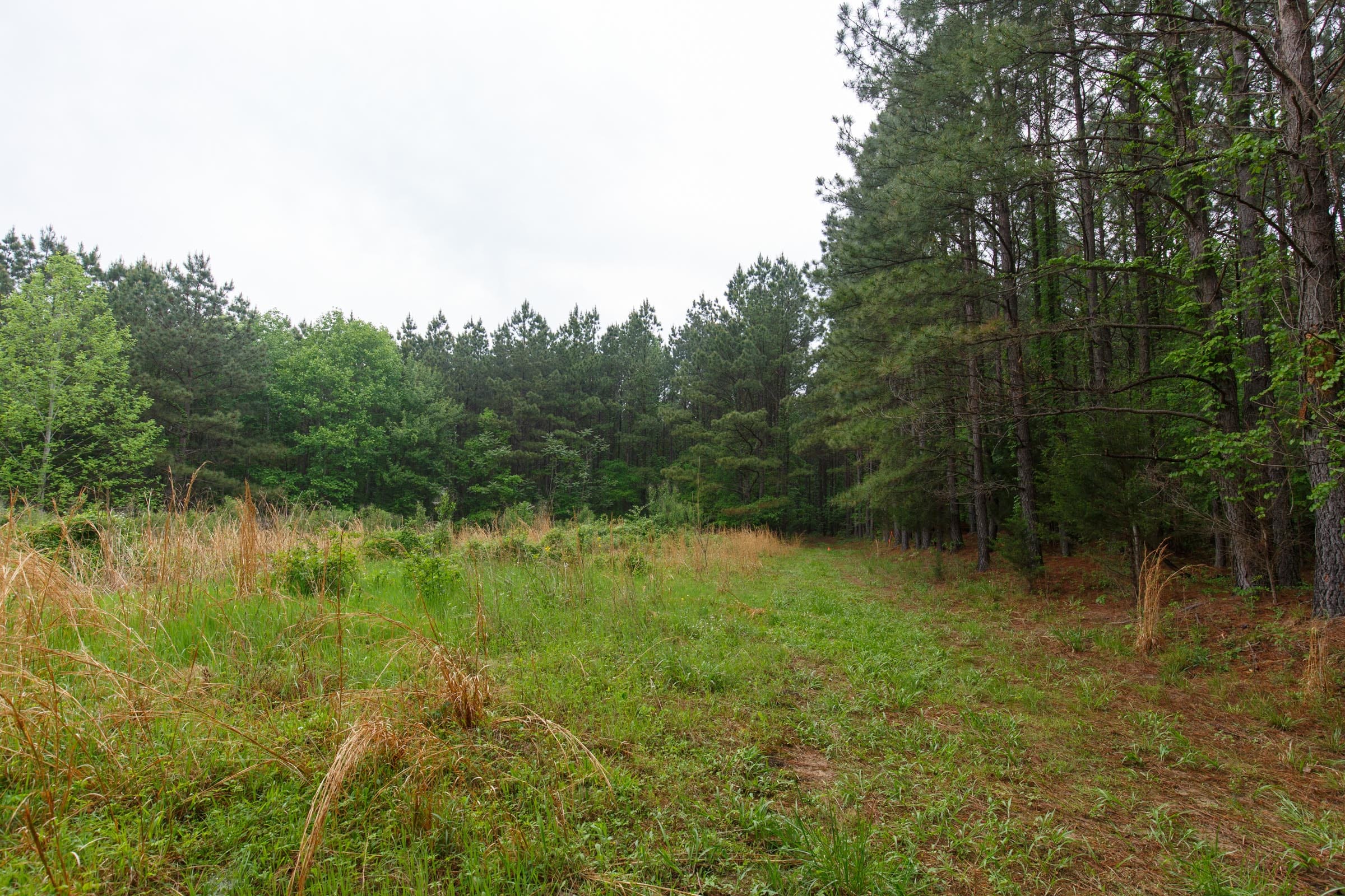 Red Barn Ranch Tract 29 photo 11
