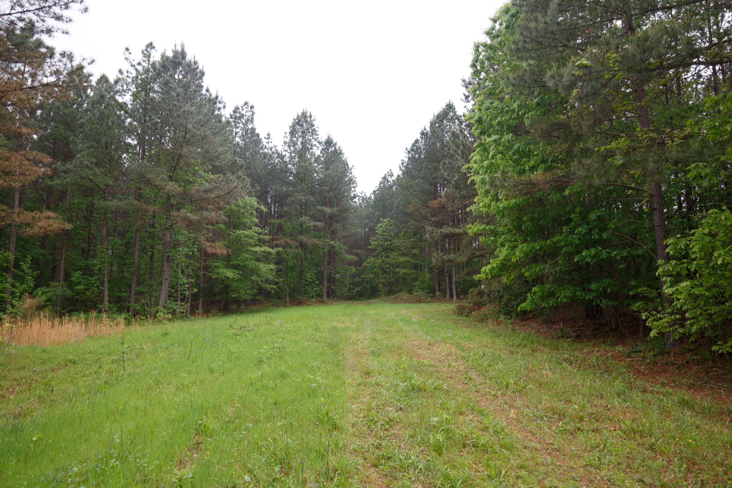 Red Barn Ranch Tract 29 photo 8