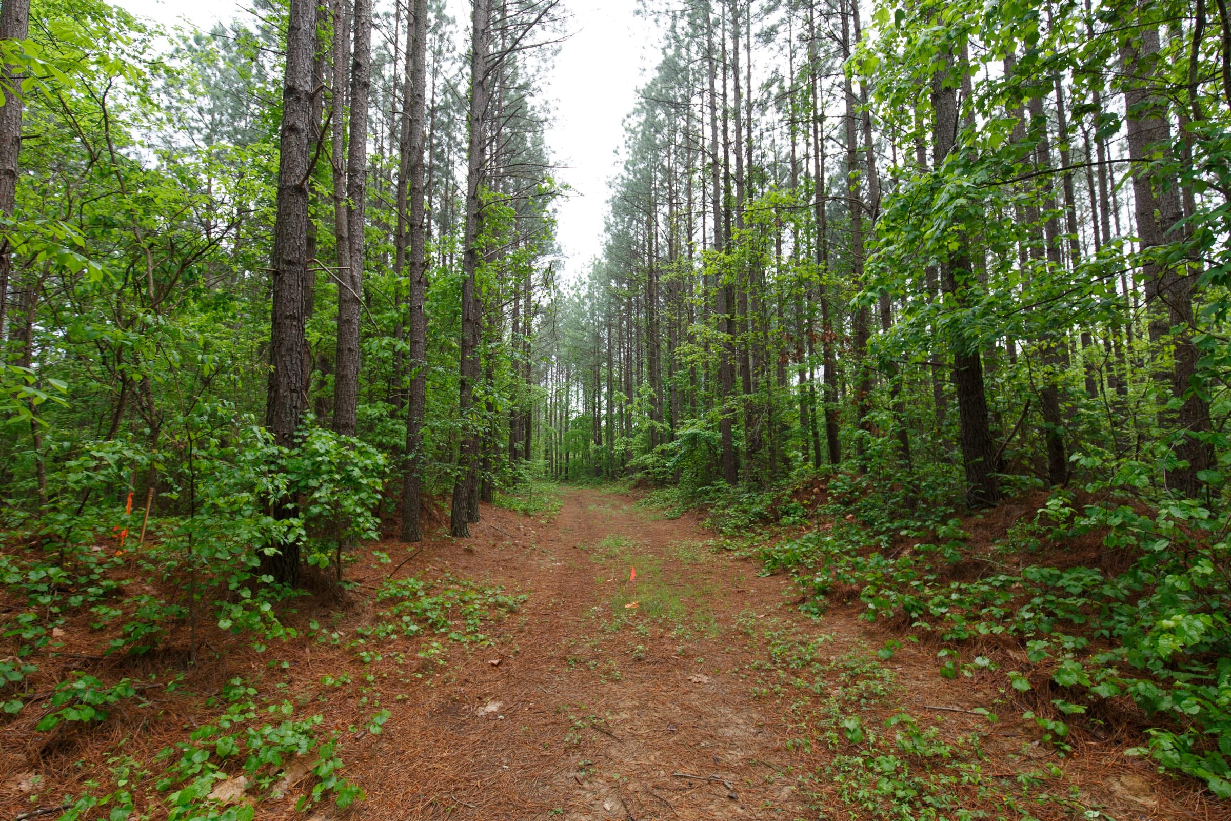 Red Barn Ranch Tract 29 photo 1