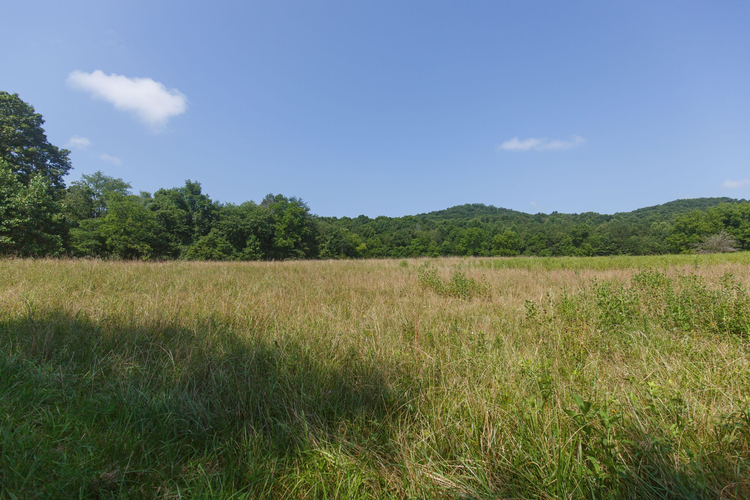 Rolling Hills Tract 19 photo 3