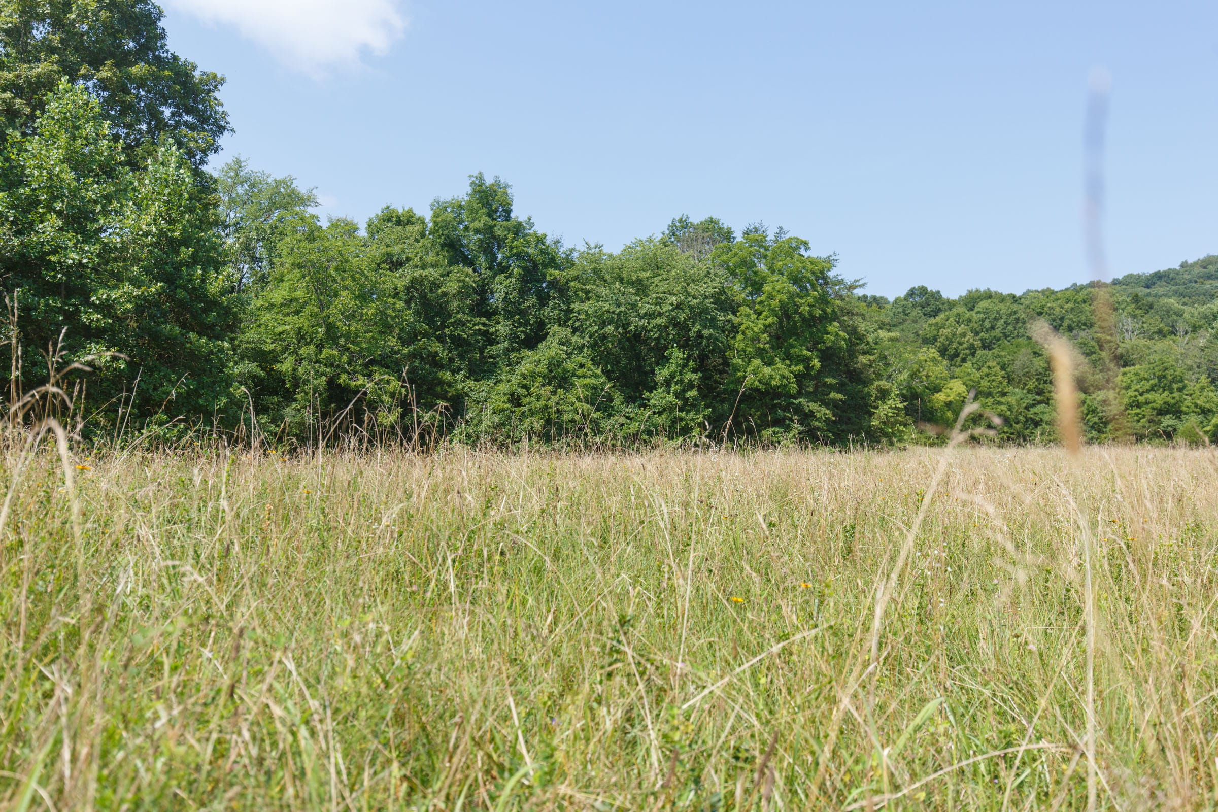 Rolling Hills Tract 19 photo 4