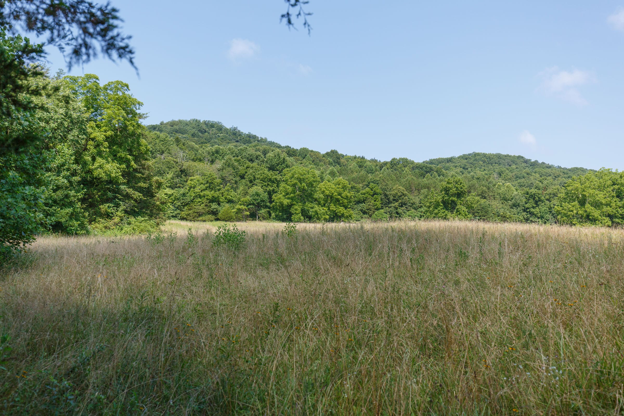 Rolling Hills Tract 19 photo 5
