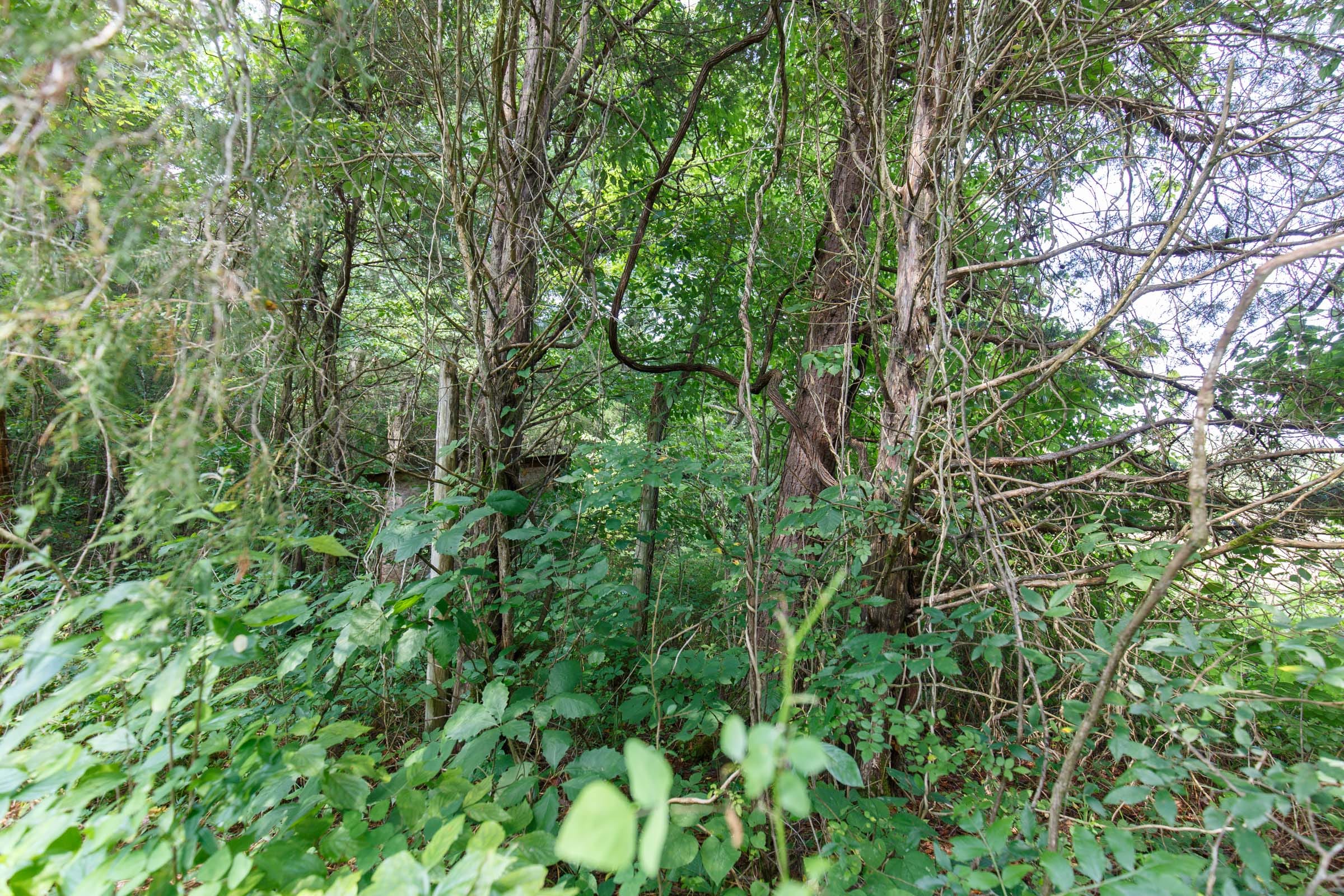 Rolling Hills Tract 19 photo 7