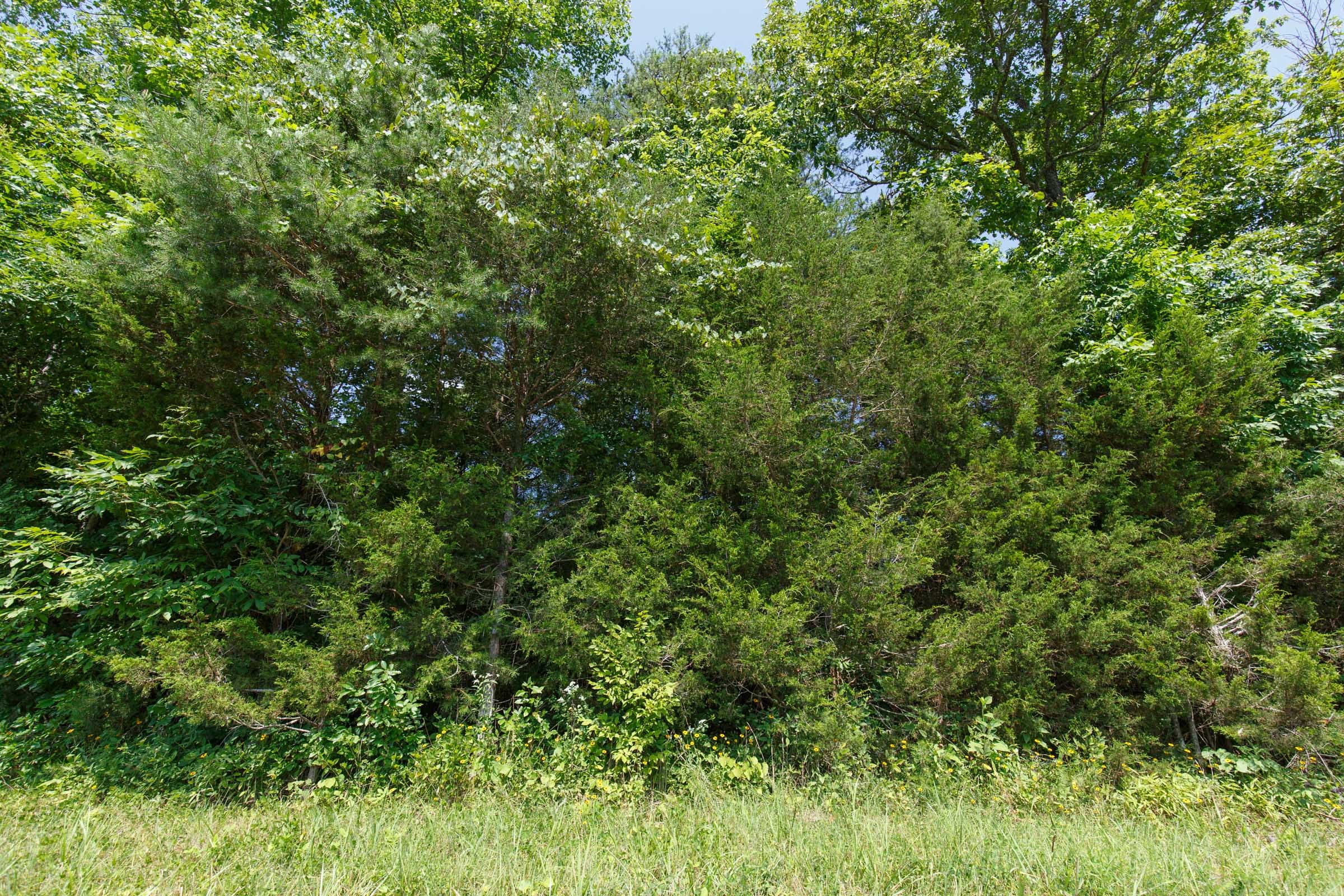Rolling Hills Tract 19 photo 9