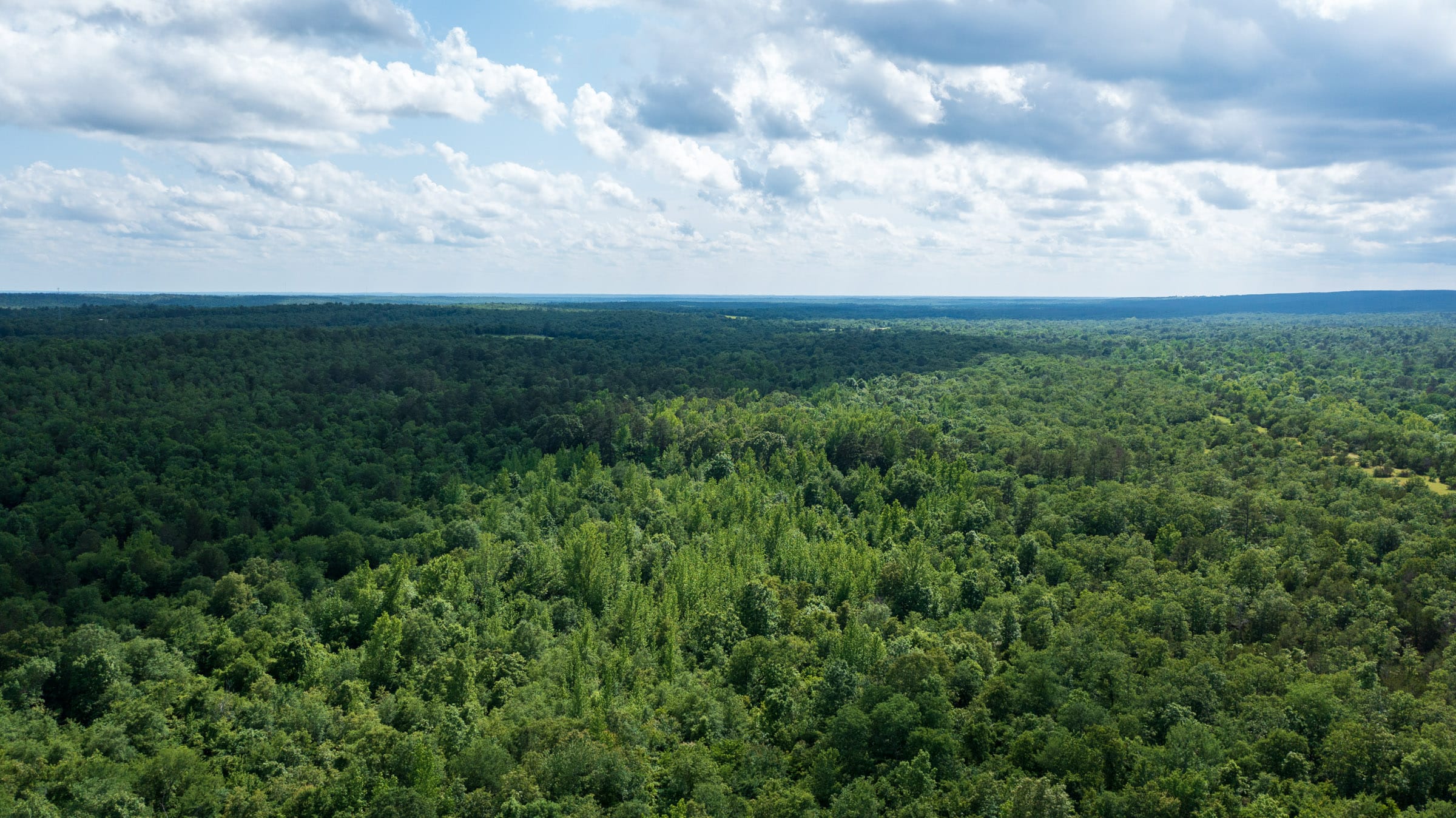 Falcon Crest Tract 26 photo 3