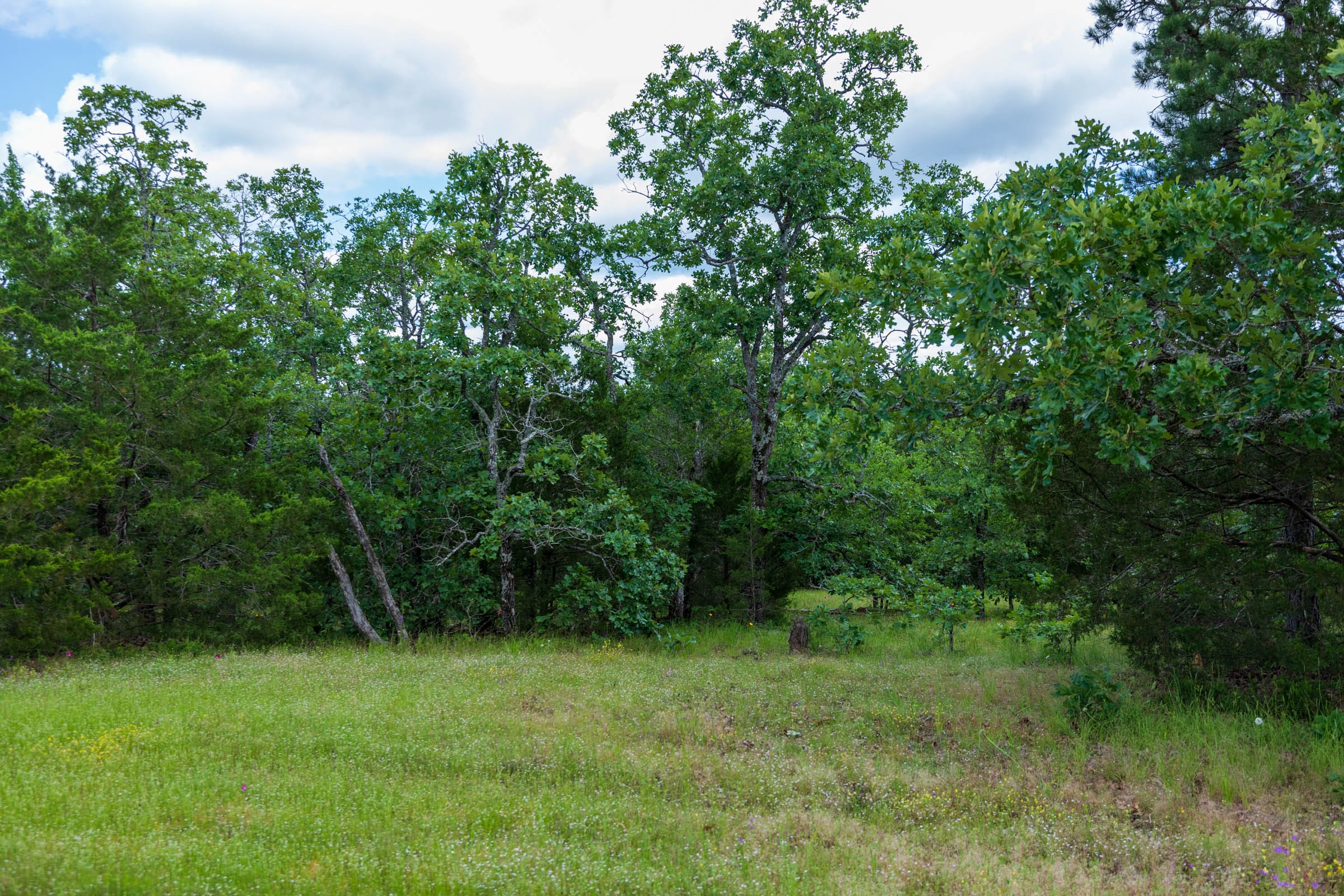 Falcon Crest Tract 26 photo 4