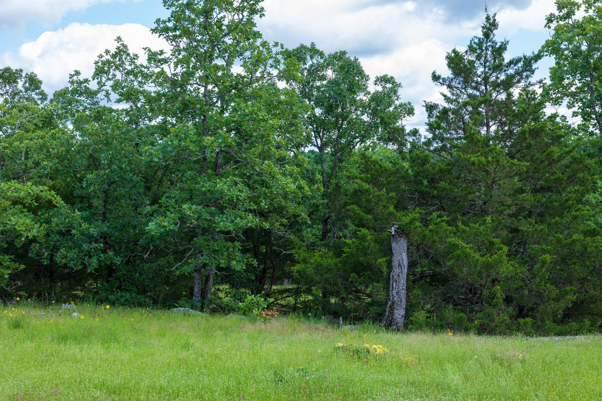 Falcon Crest Tract 26 photo 9