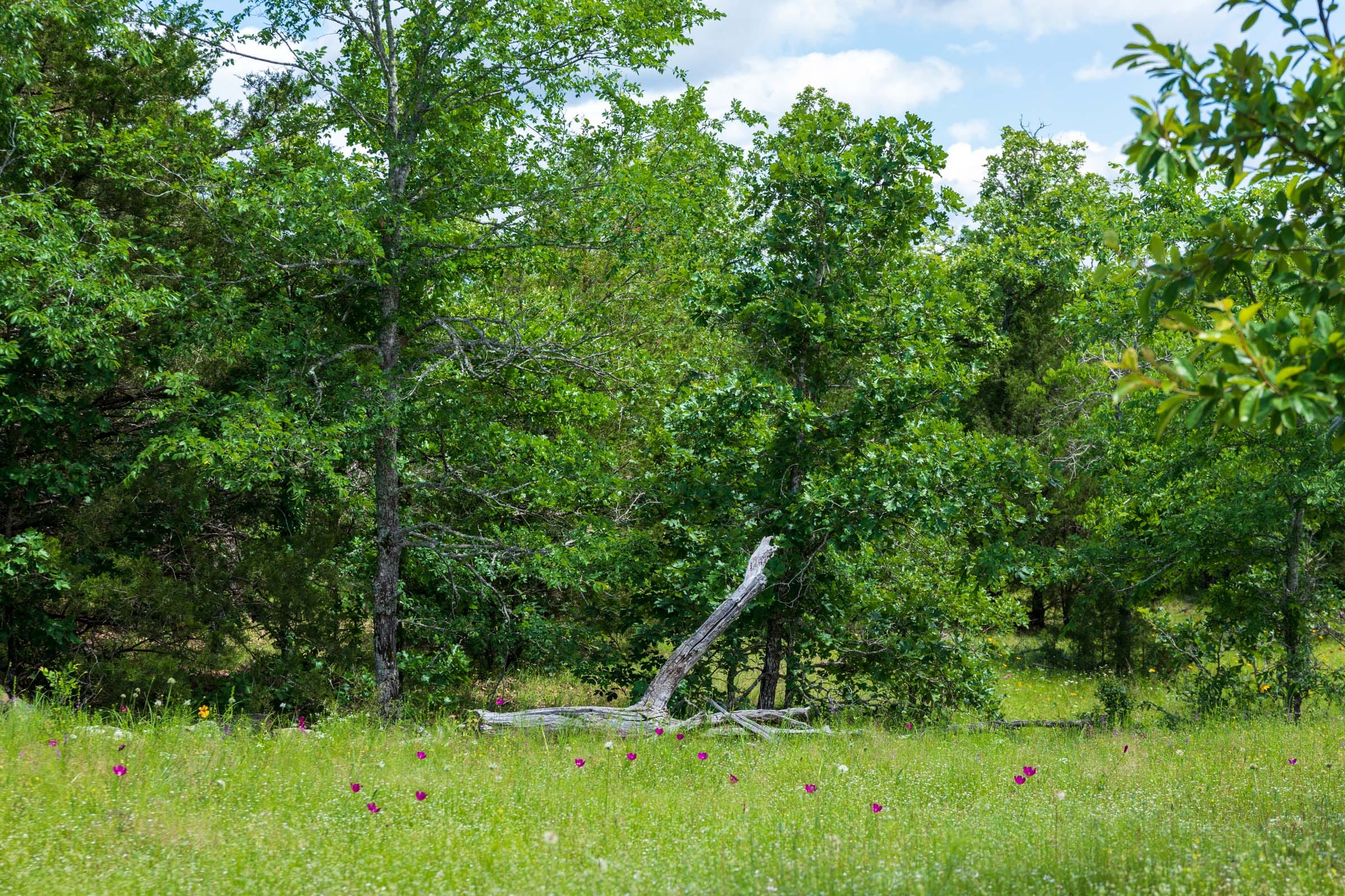 Falcon Crest Tract 26 photo 10