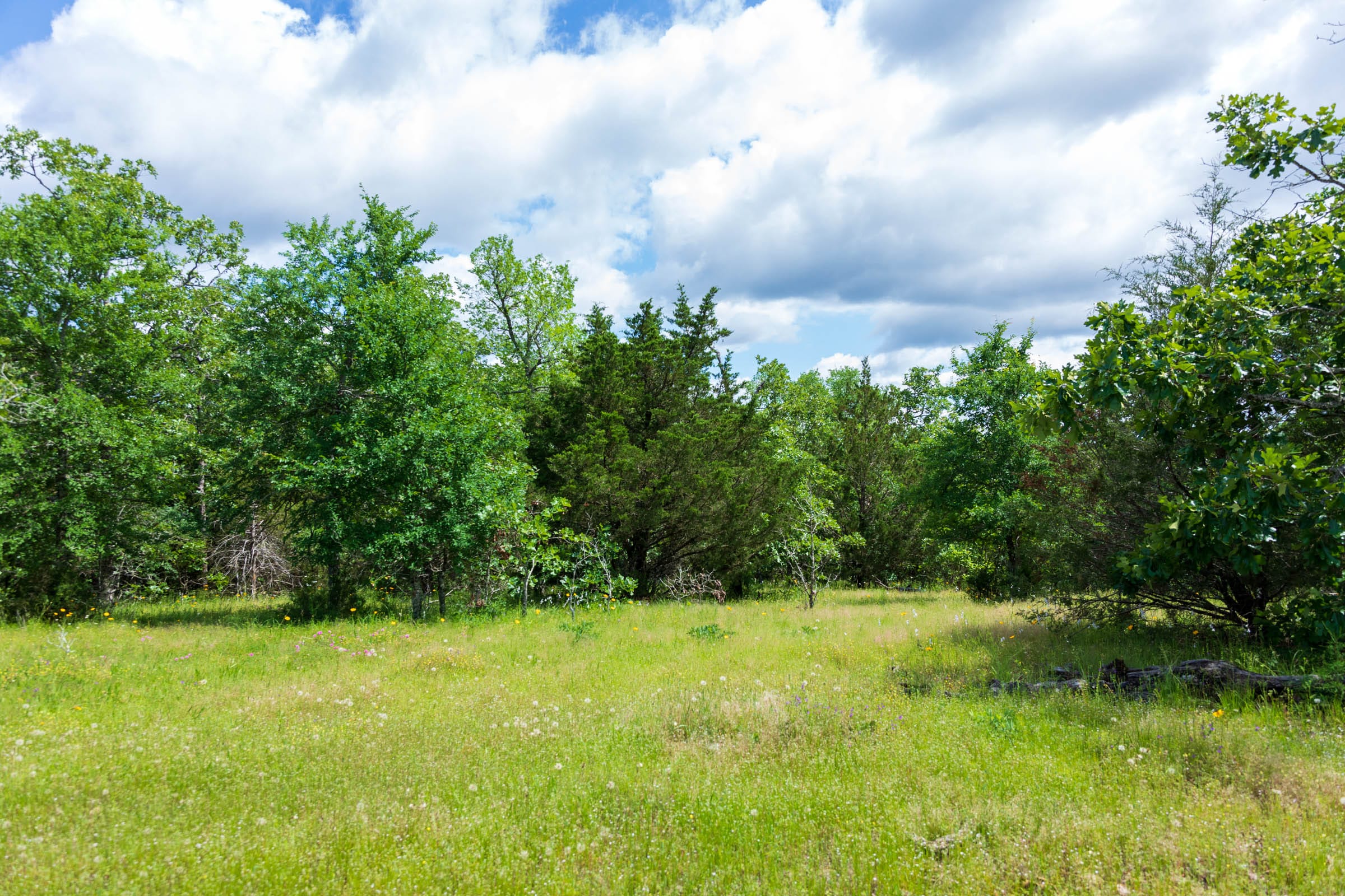 Falcon Crest Tract 26 photo 11