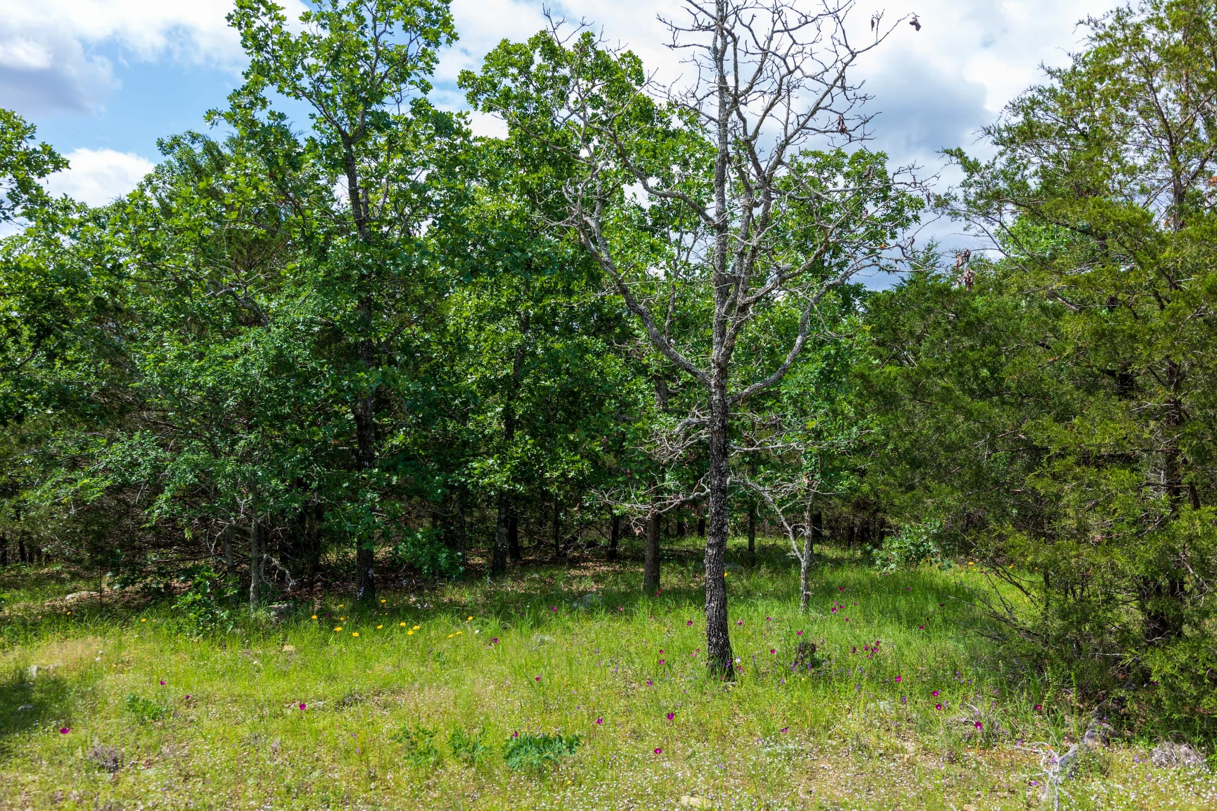 Falcon Crest Tract 26 photo 12