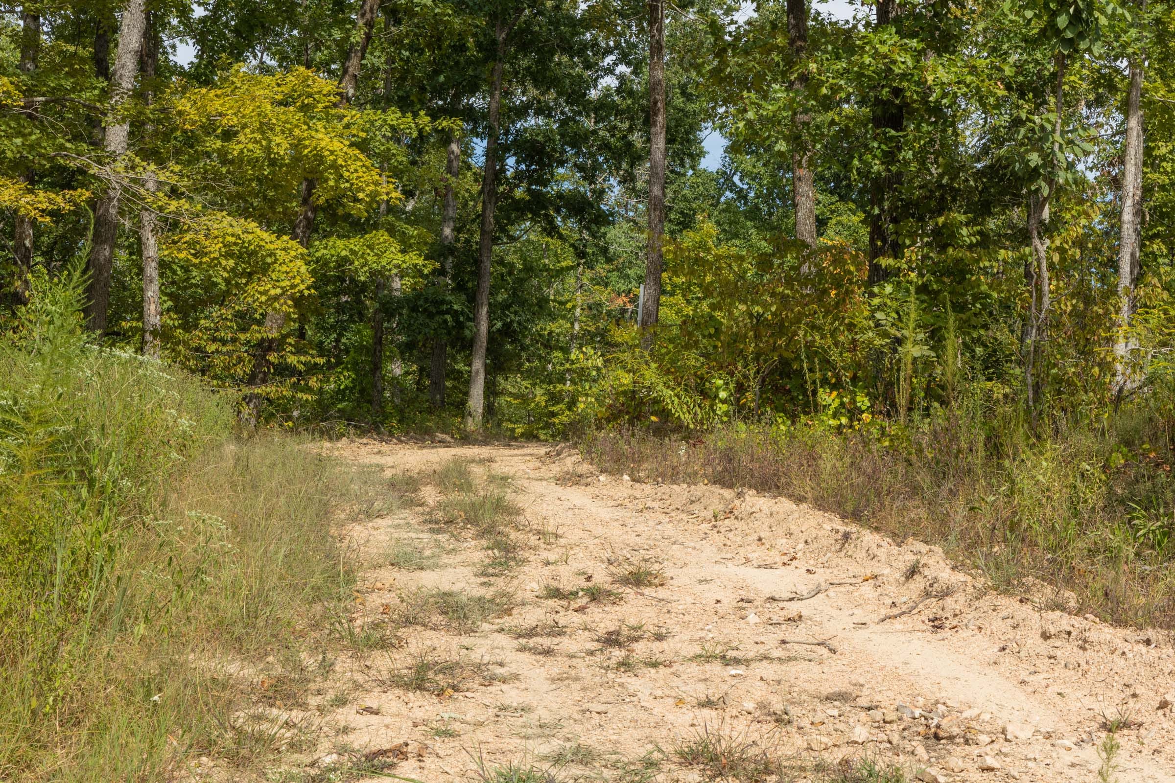 Big White Oak Tract 76 photo 7