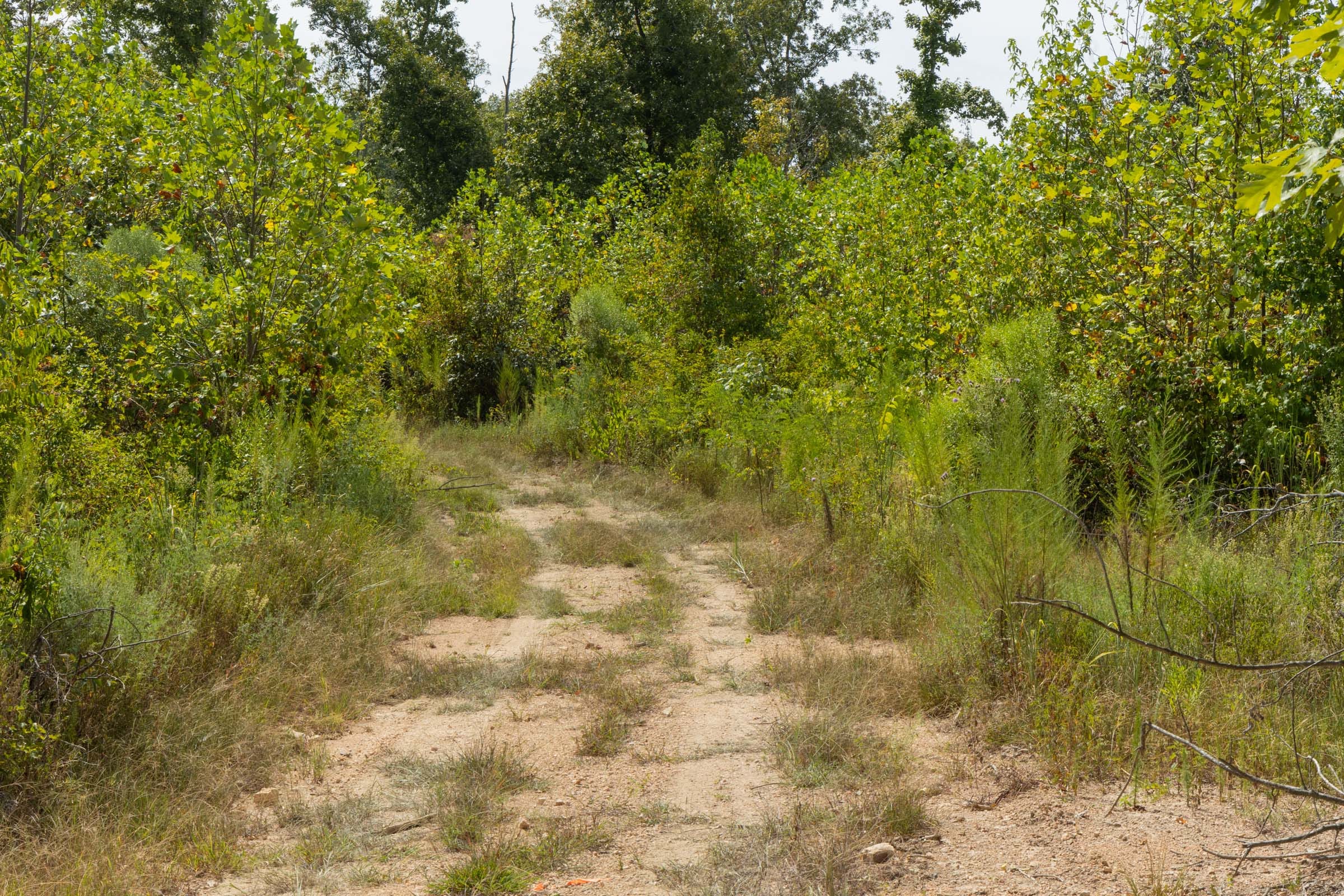 Big White Oak Tract 76 photo 1