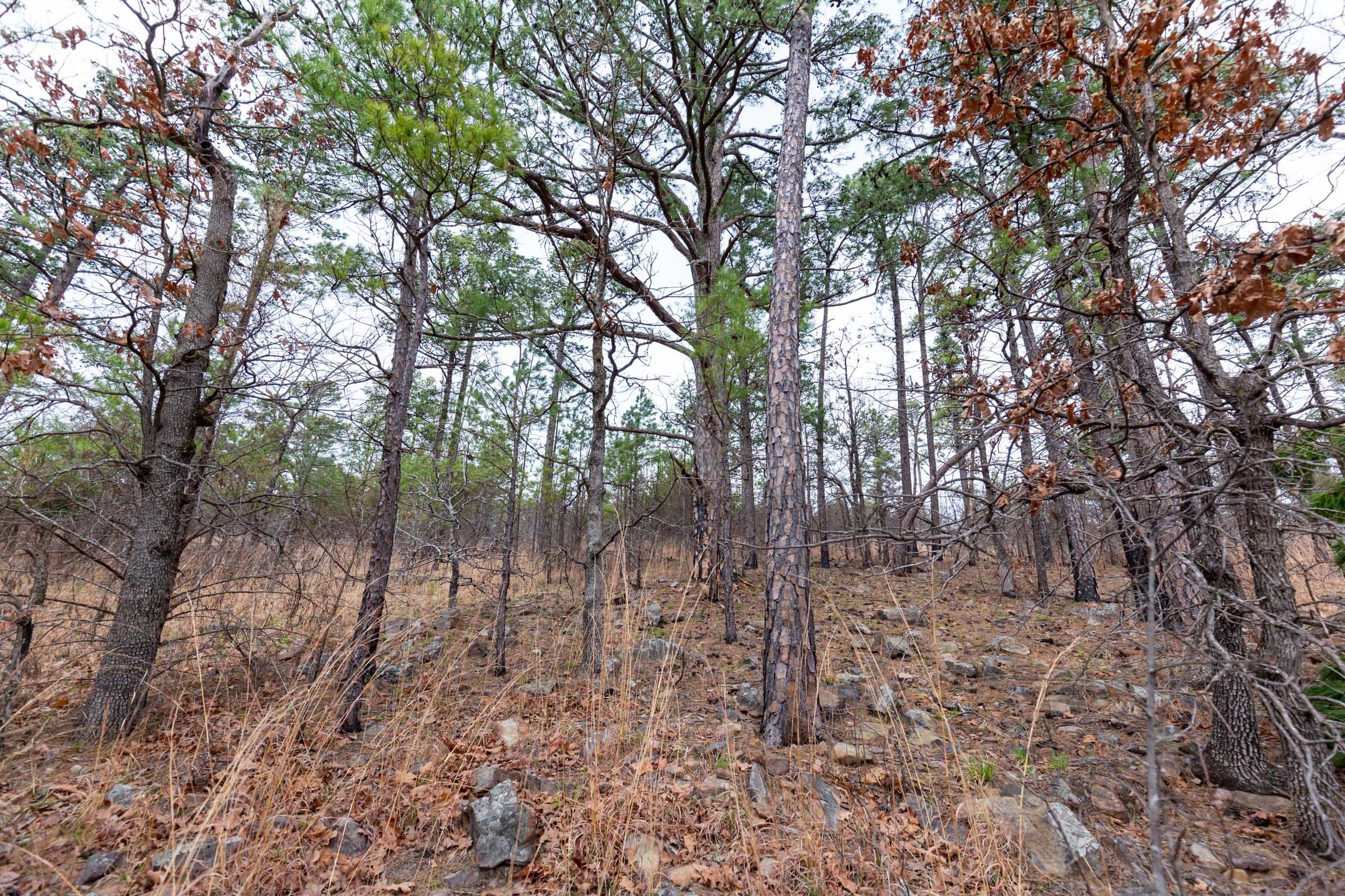 Stone Bridge Phase III Tract 136 photo 1