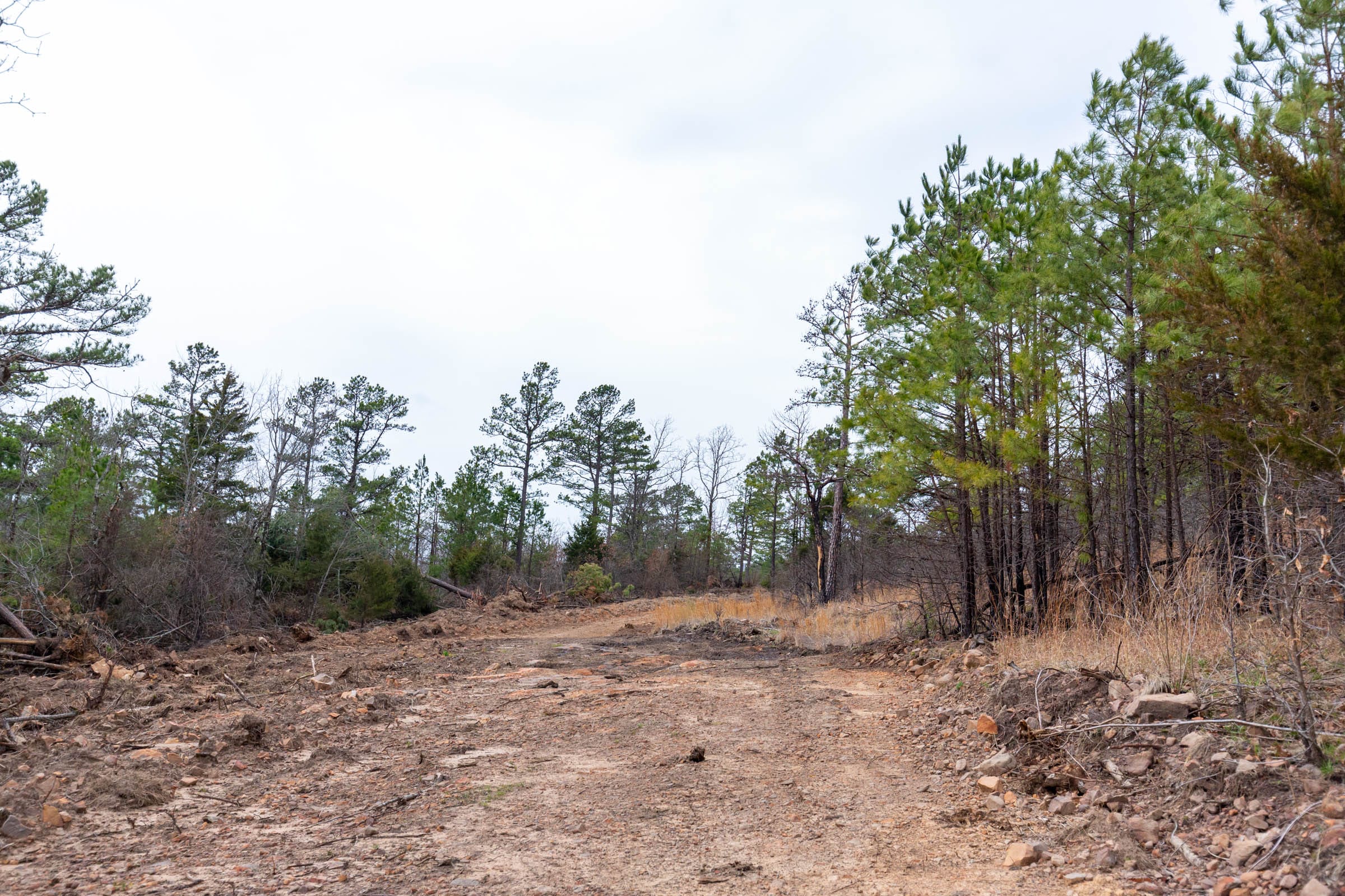 Stone Bridge Phase III Tract 136 photo 12