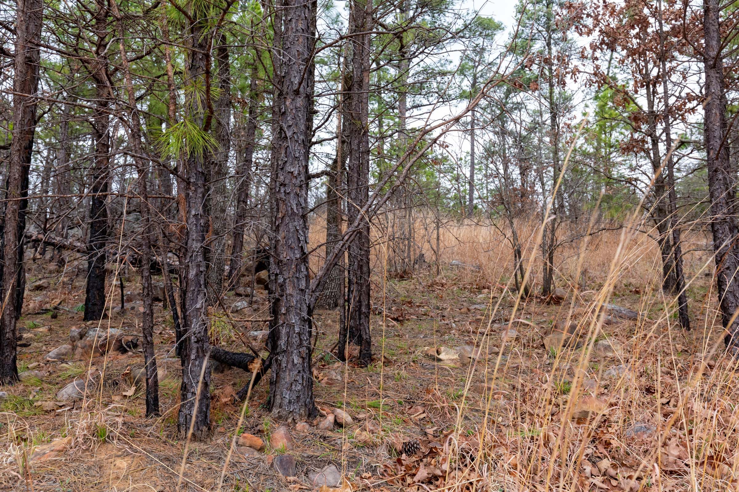 Stone Bridge Phase III Tract 136 photo 15