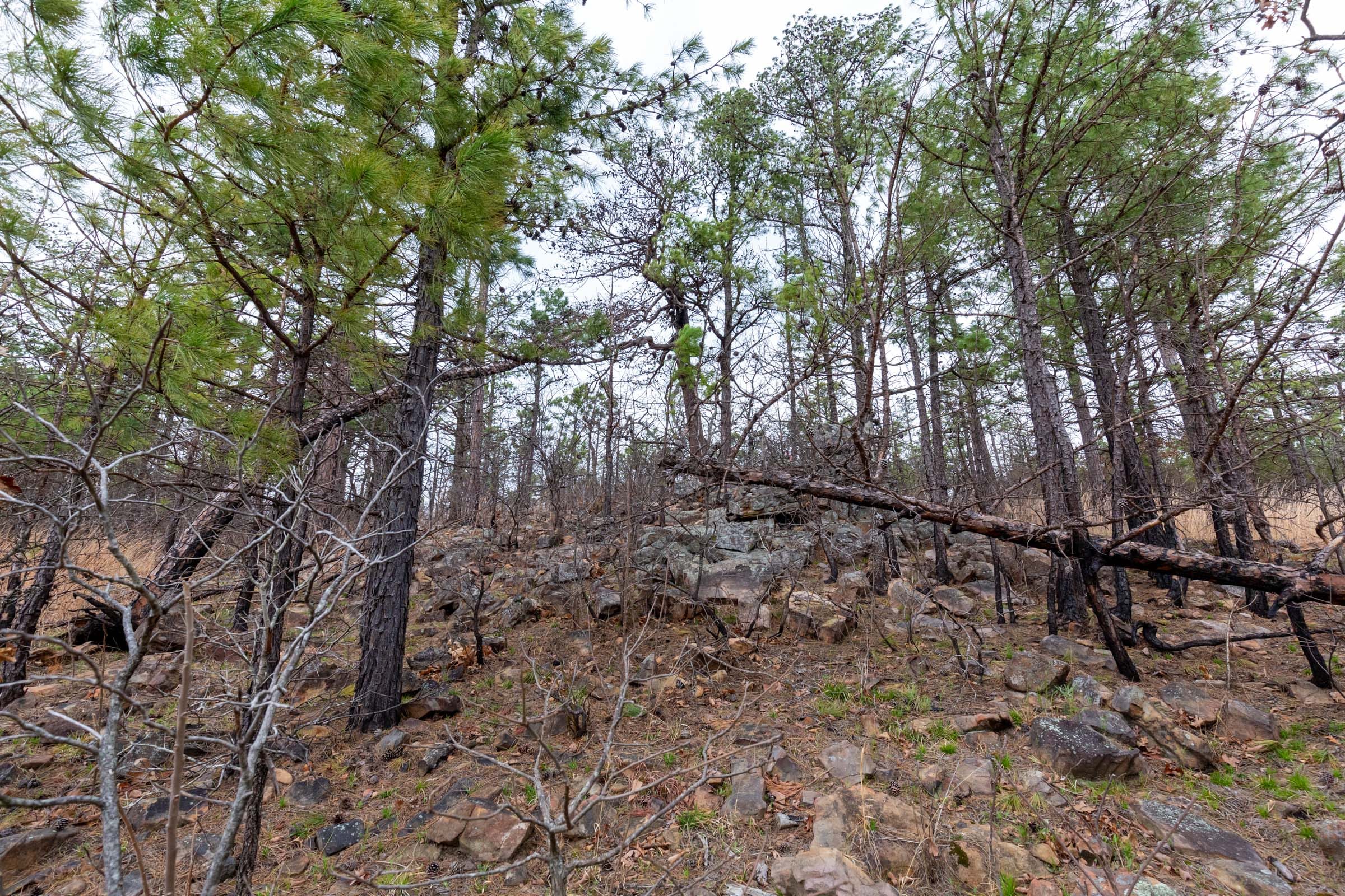 Stone Bridge Phase III Tract 136 photo 16