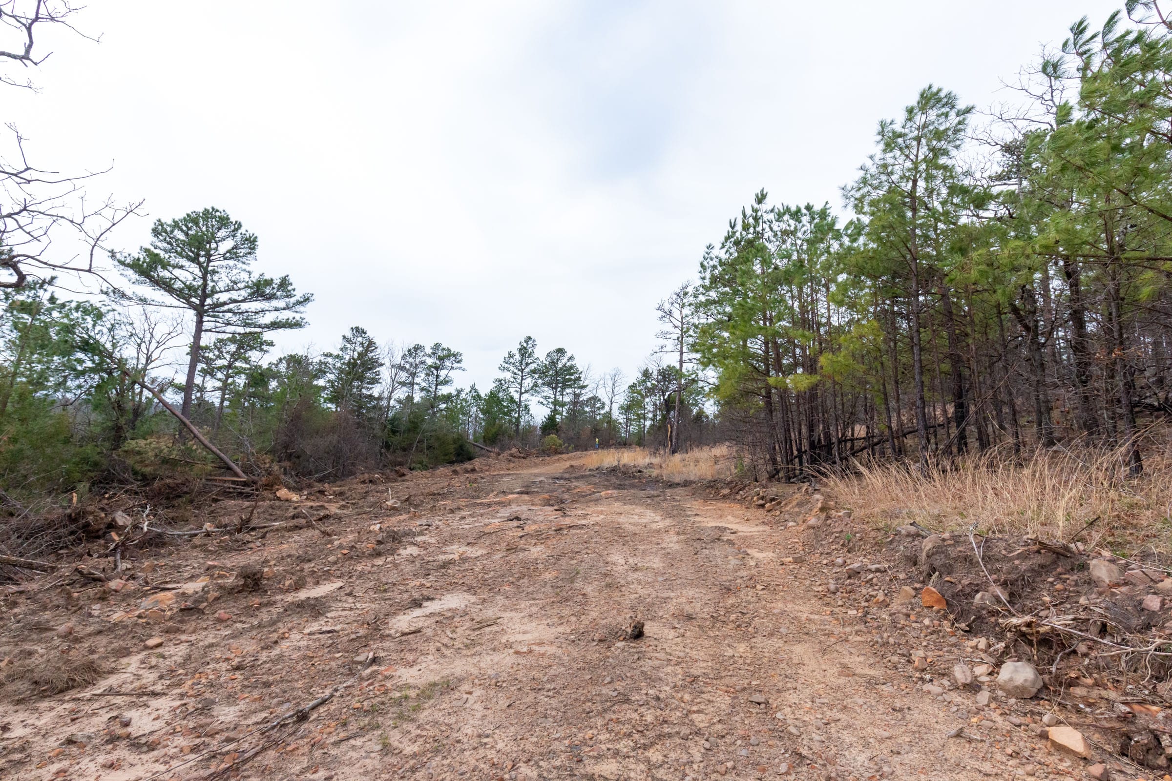 Stone Bridge Phase III Tract 136 photo 17