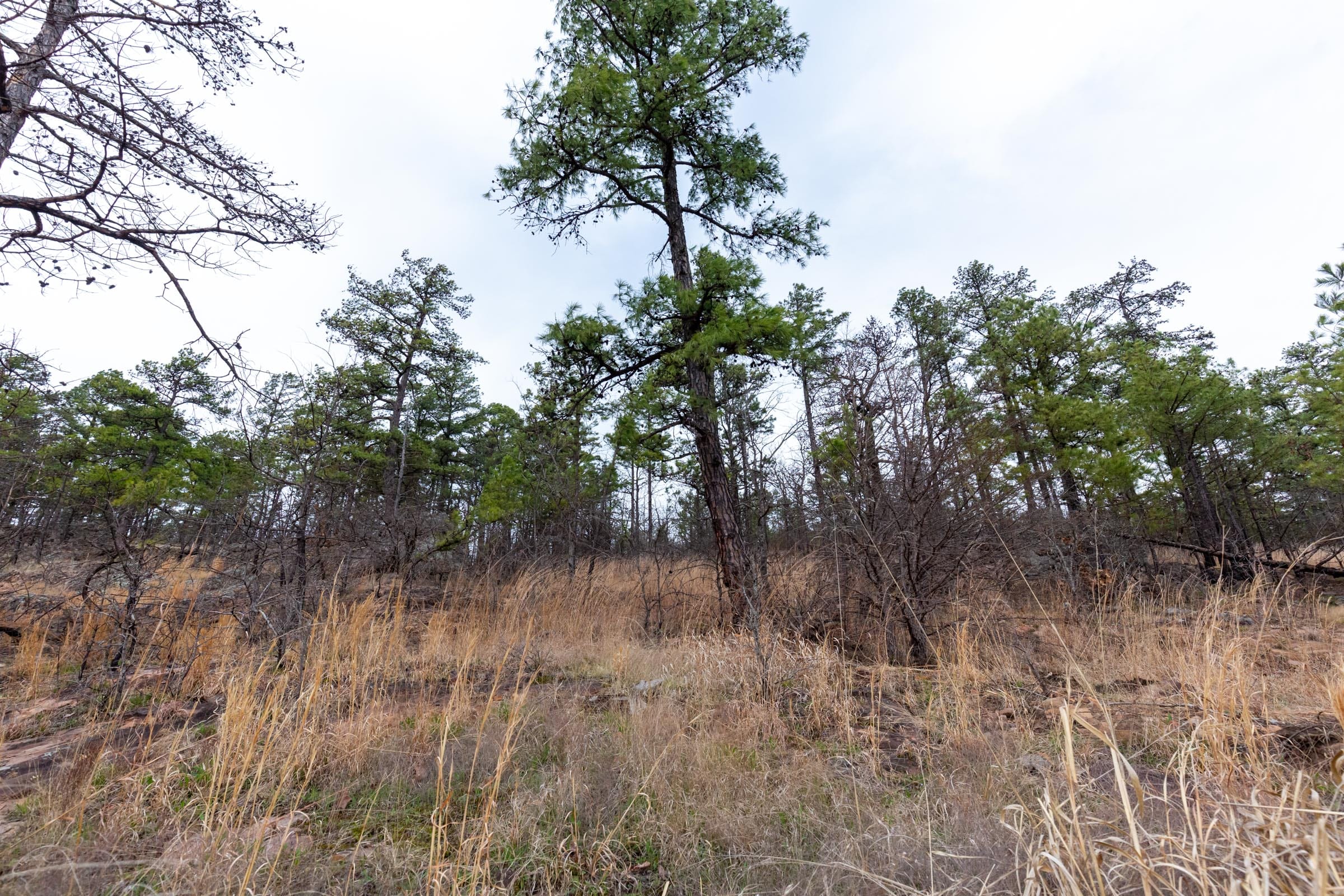 Stone Bridge Phase III Tract 136 photo 18