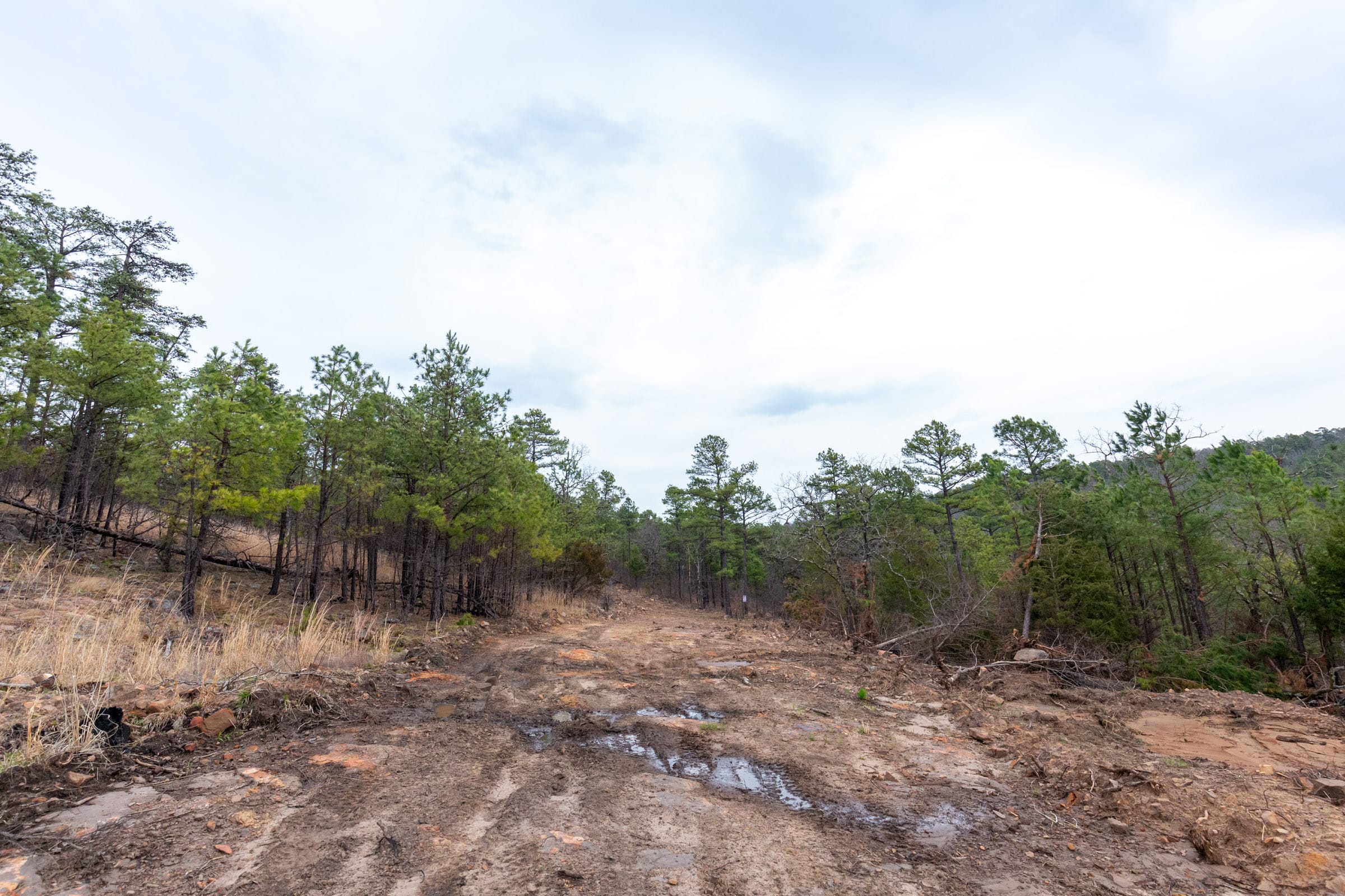 Stone Bridge Phase III Tract 136 photo 19
