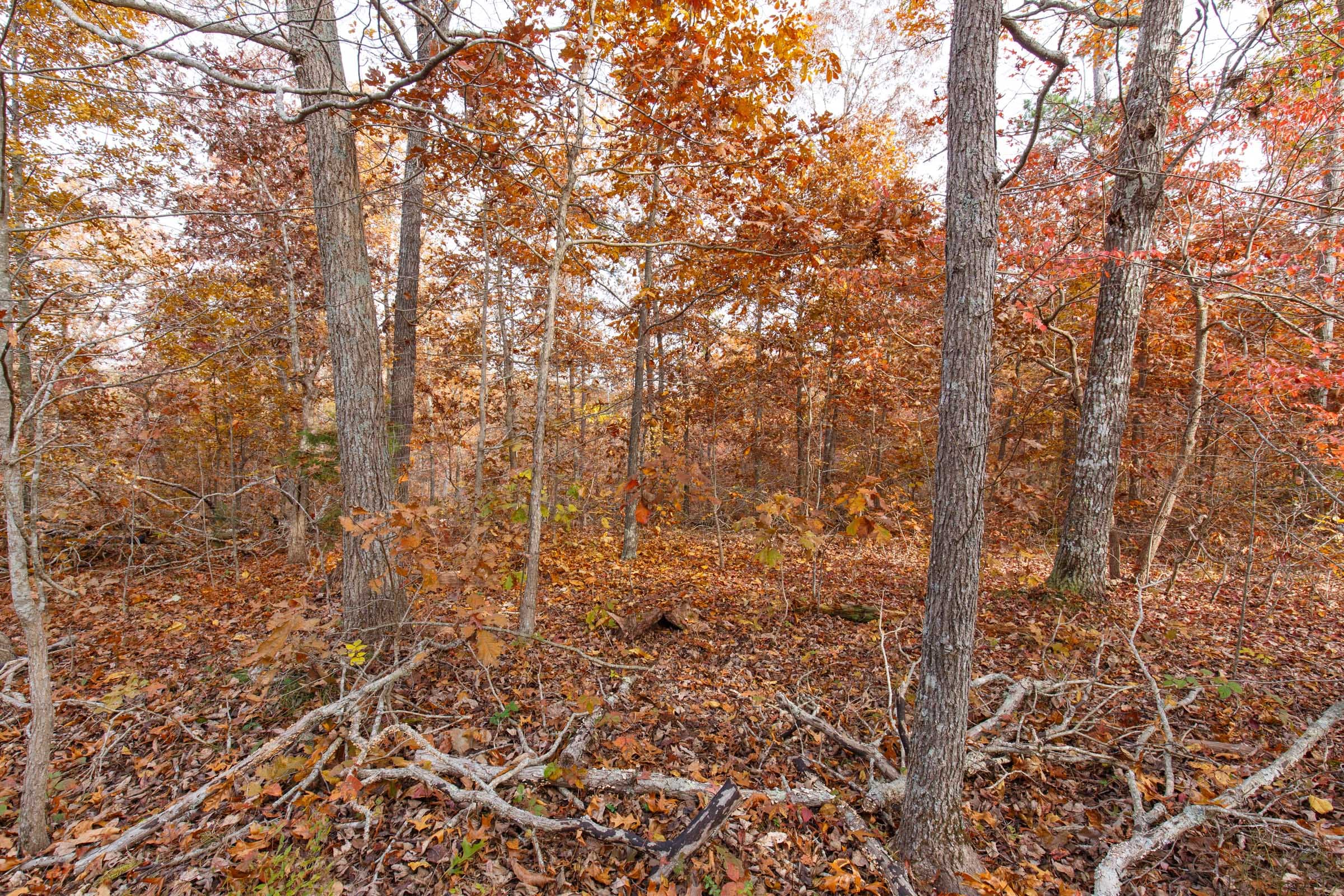 Hawkcrest Tract 35 photo 4