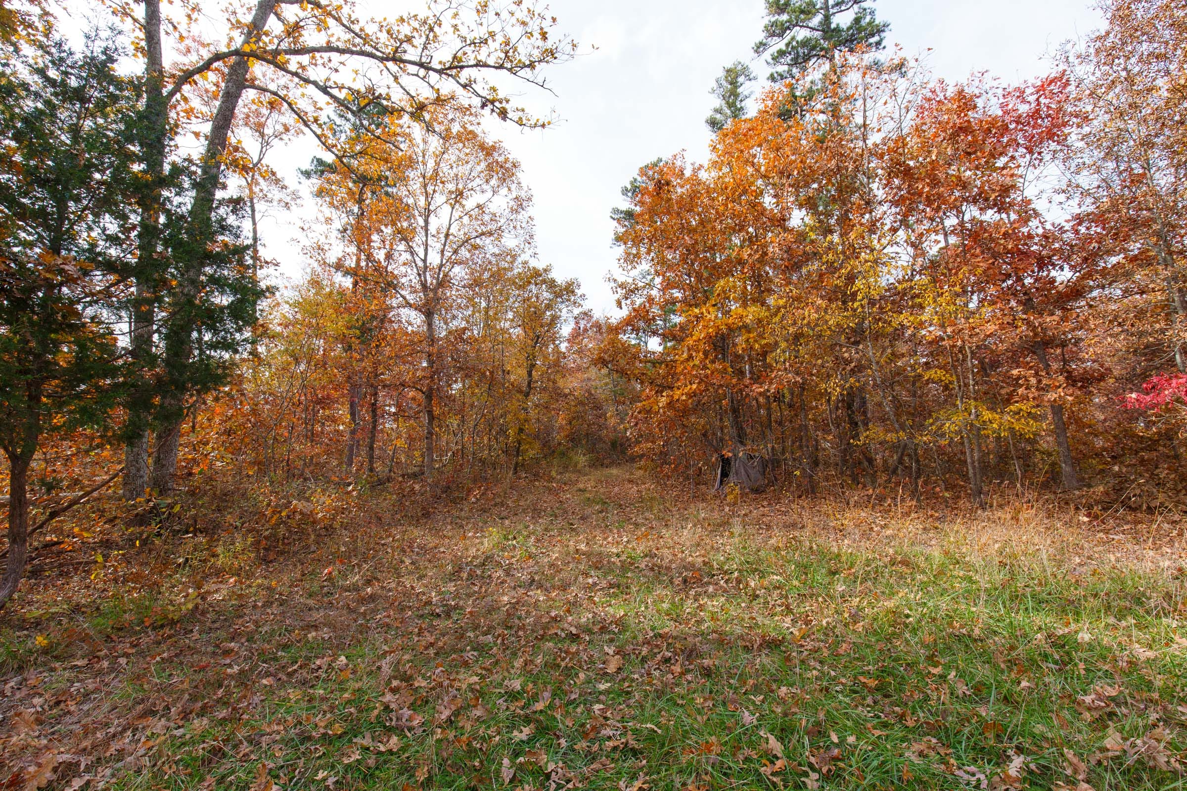 Hawkcrest Tract 35 photo 8