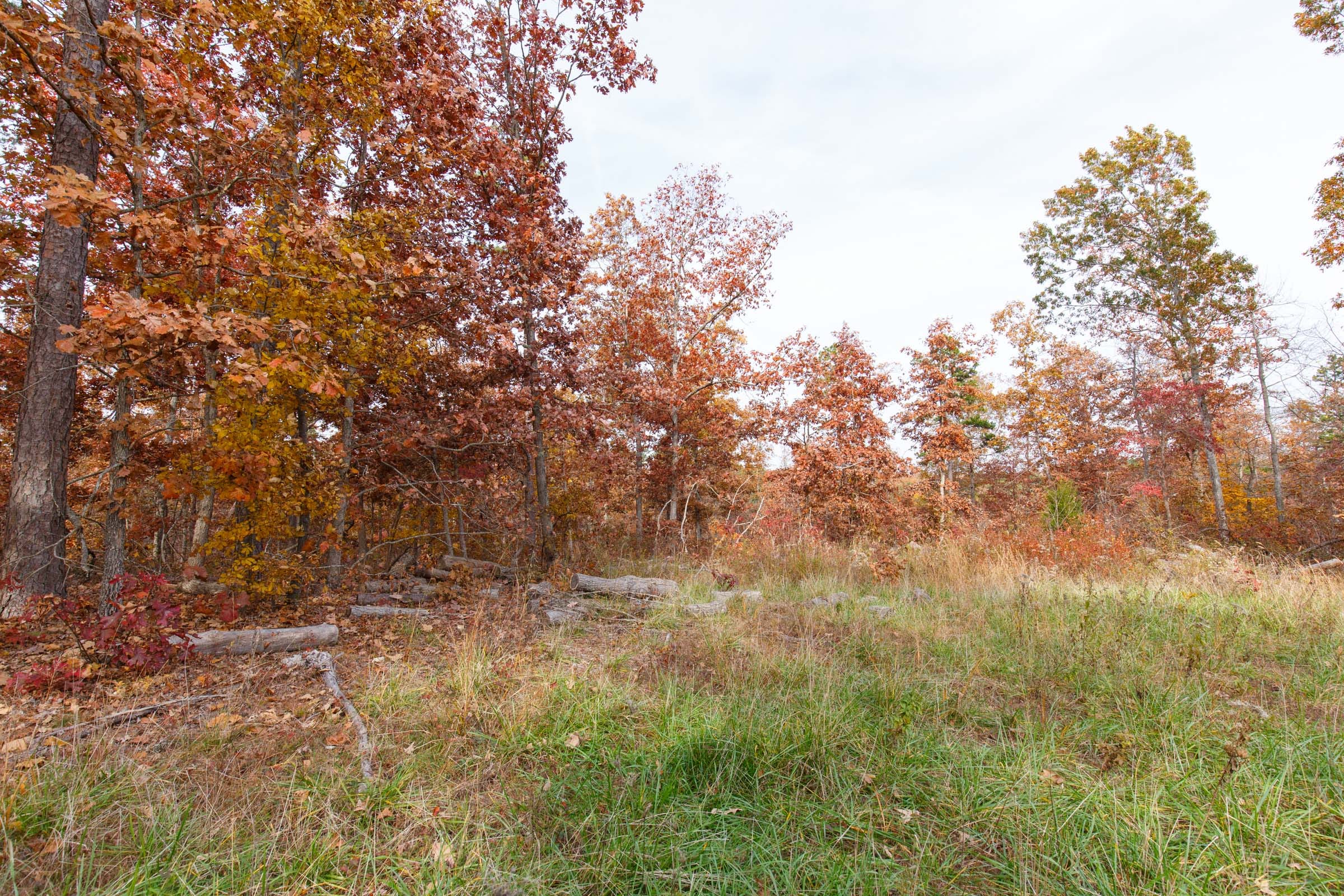 Hawkcrest Tract 35 photo 9