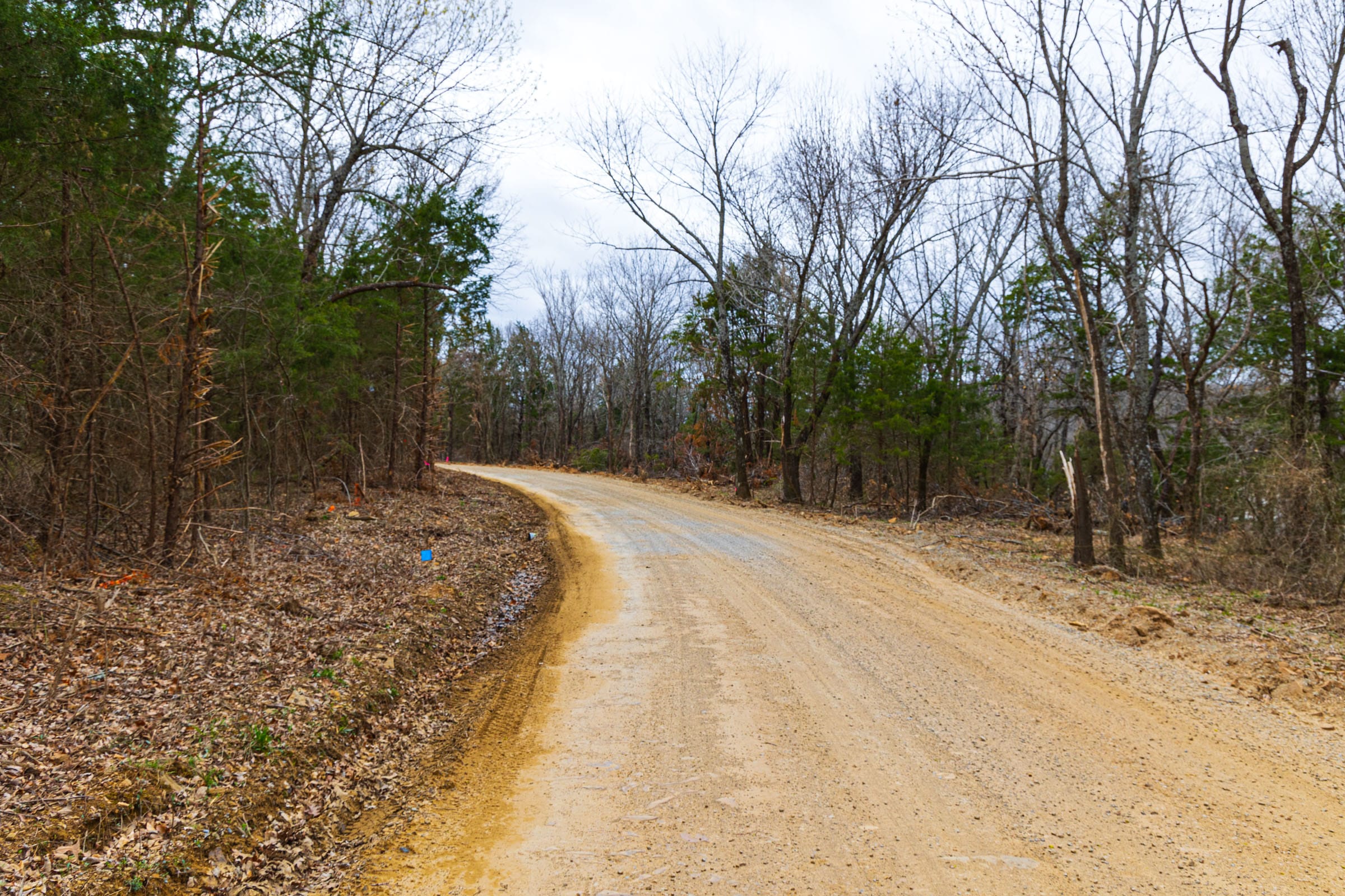 Reserves At Cattail Cove Phase I Tract 9 photo 5