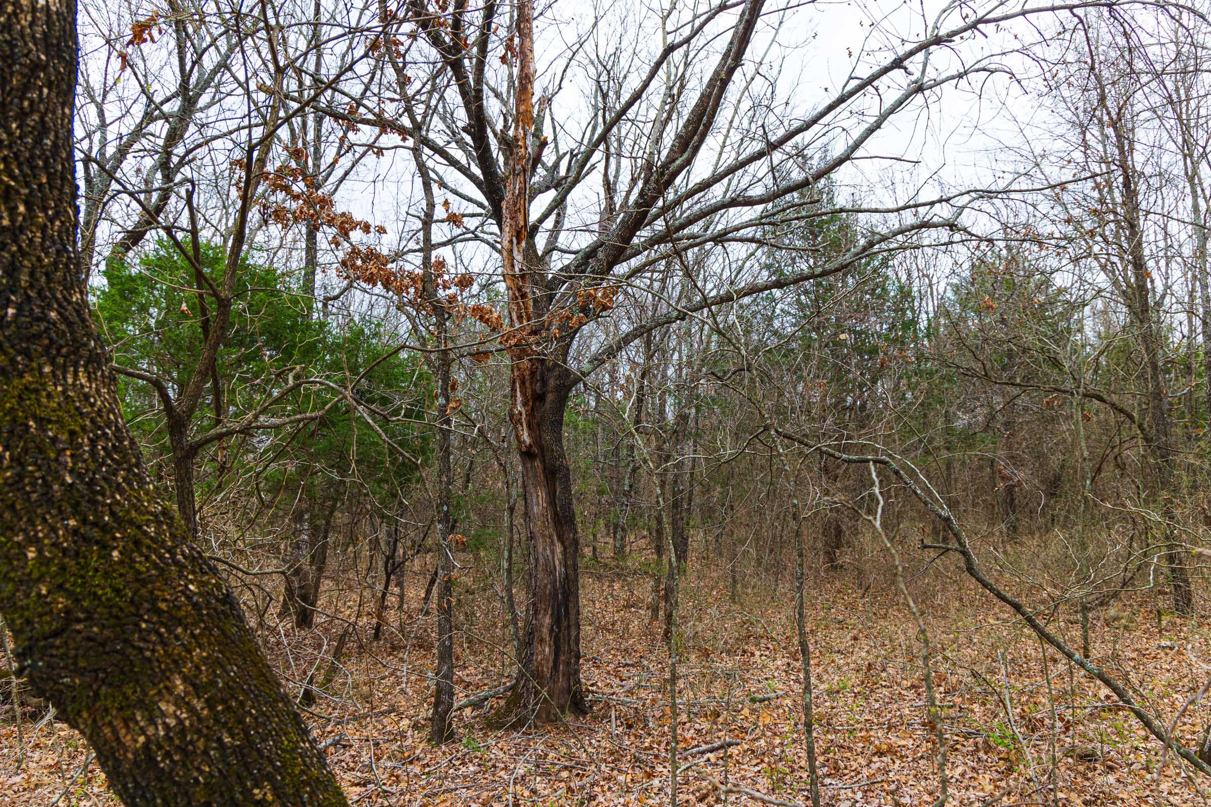 Reserves At Cattail Cove Phase I Tract 10 photo 10