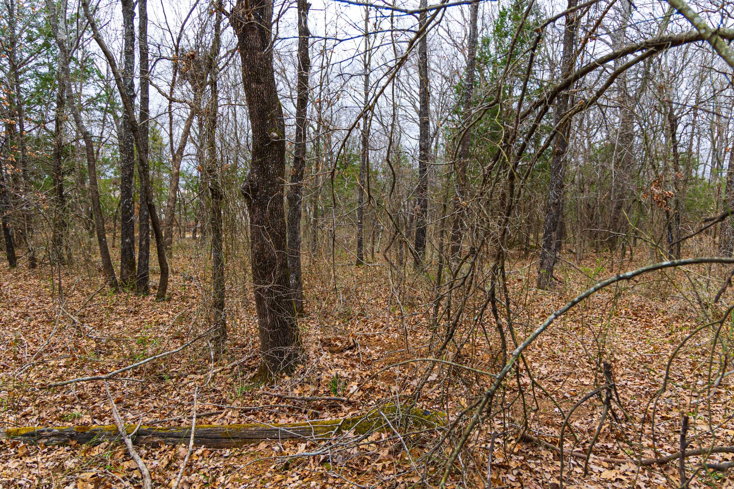 Reserves At Cattail Cove Phase I Tract 10 photo 16