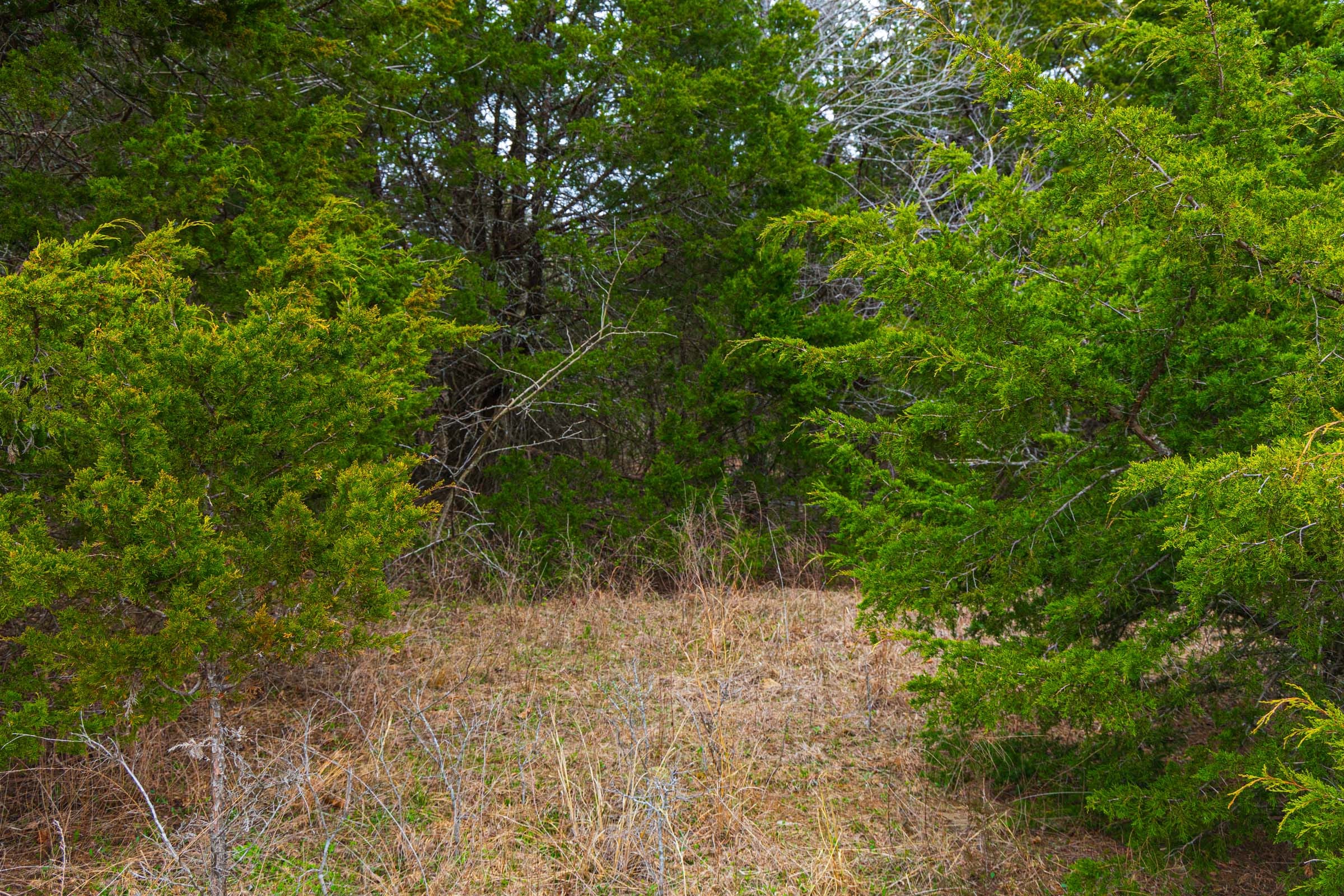 Reserves At Cattail Cove Phase I Tract 10 photo 9