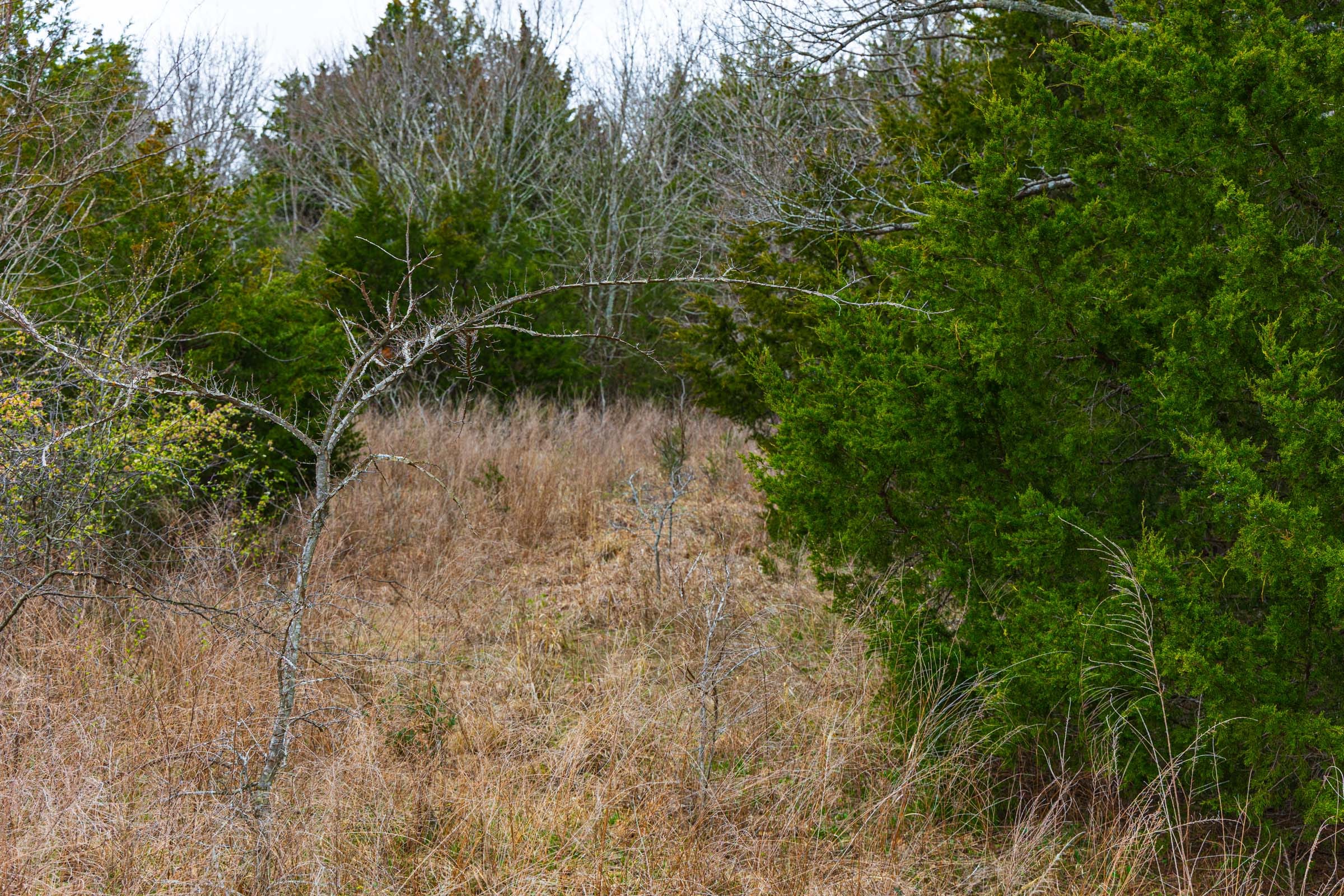 Reserves At Cattail Cove Phase I Tract 10 photo 6