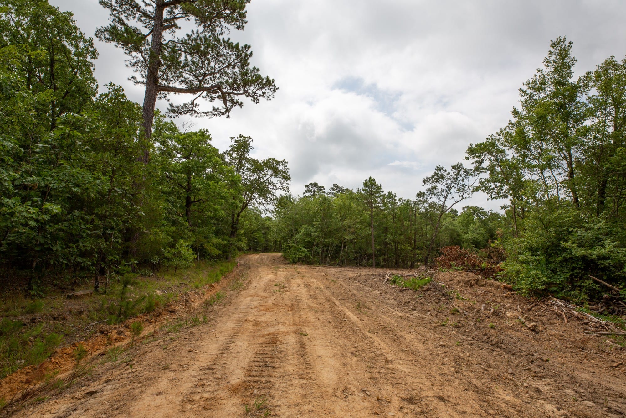 Eagle’s Nest Tract 39 photo 1