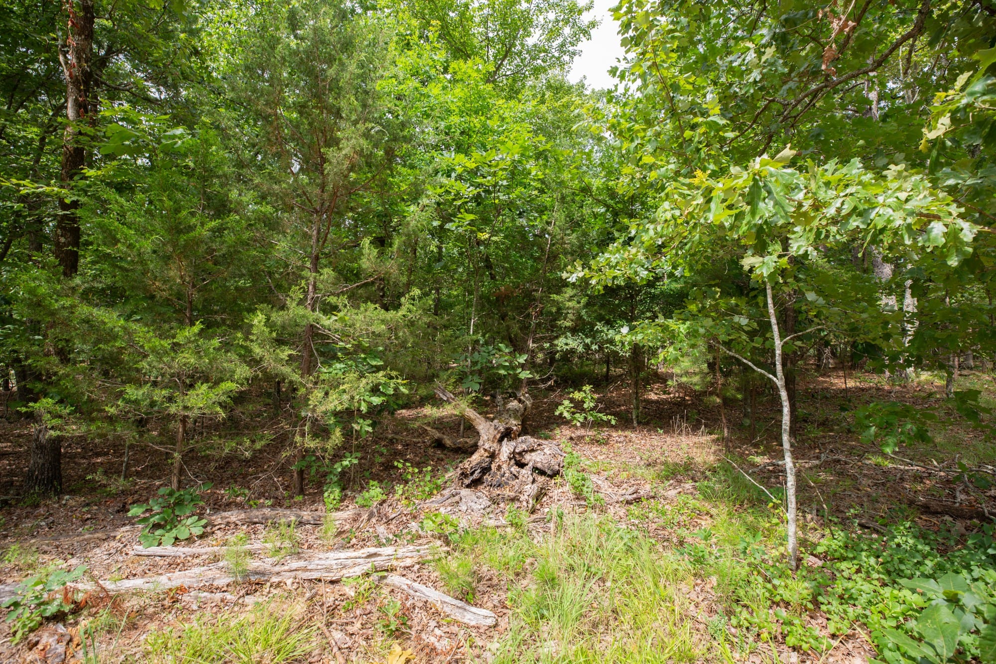 Eagle’s Nest Tract 39 photo 2