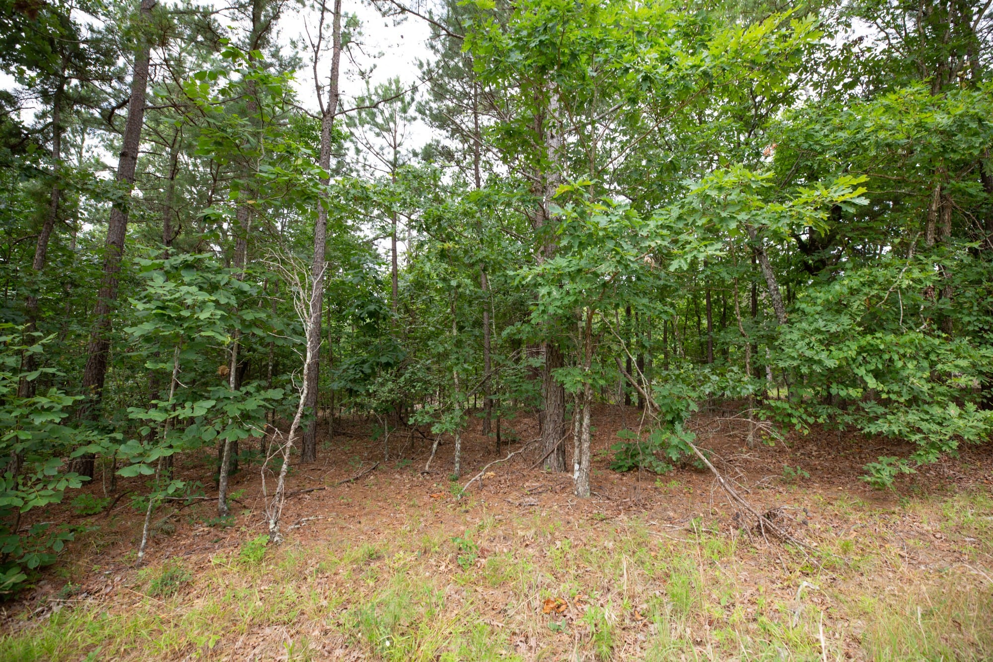 Eagle’s Nest Tract 39 photo 5