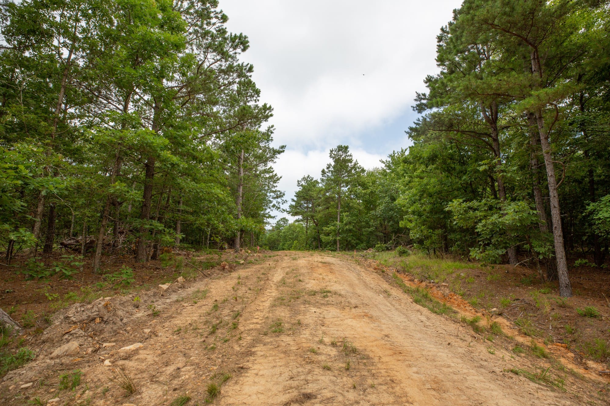 Eagle’s Nest Tract 39 photo 4